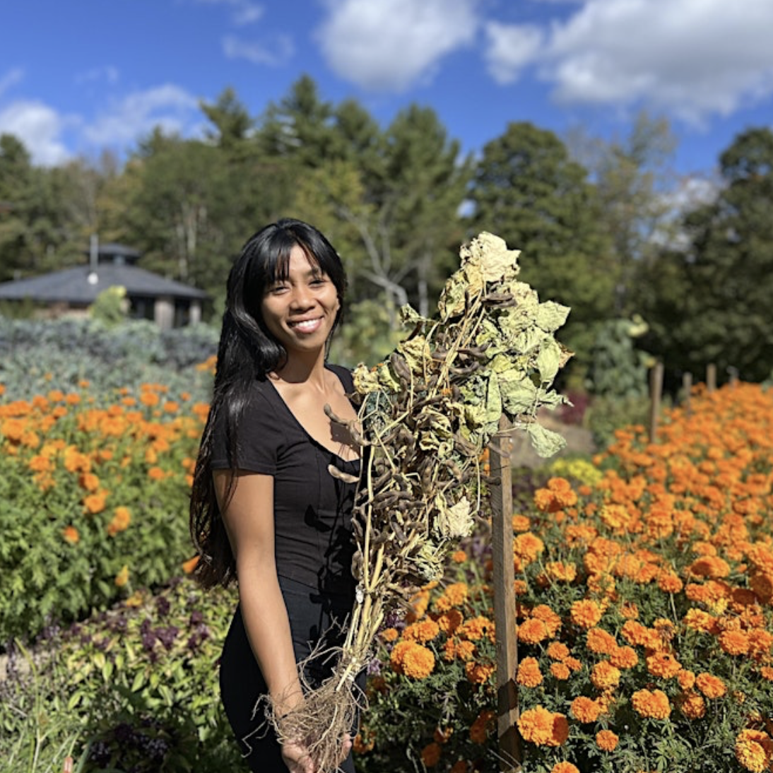 Loving Soybeans w/ Chef & Farmer Ria Ibrahim — THE TABLE UNDERGROUND