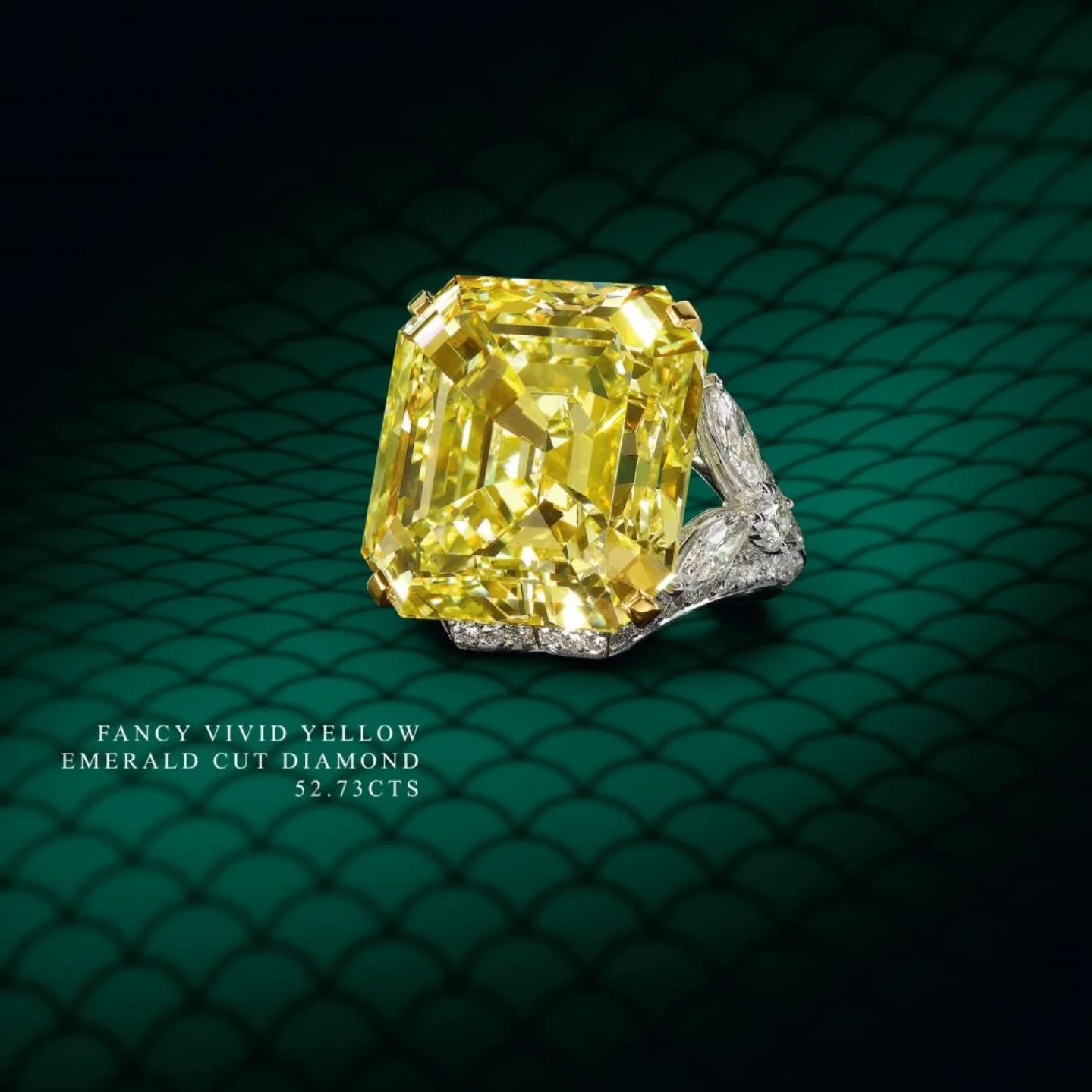 Graff still life campaign winter 2013-1.jpg
