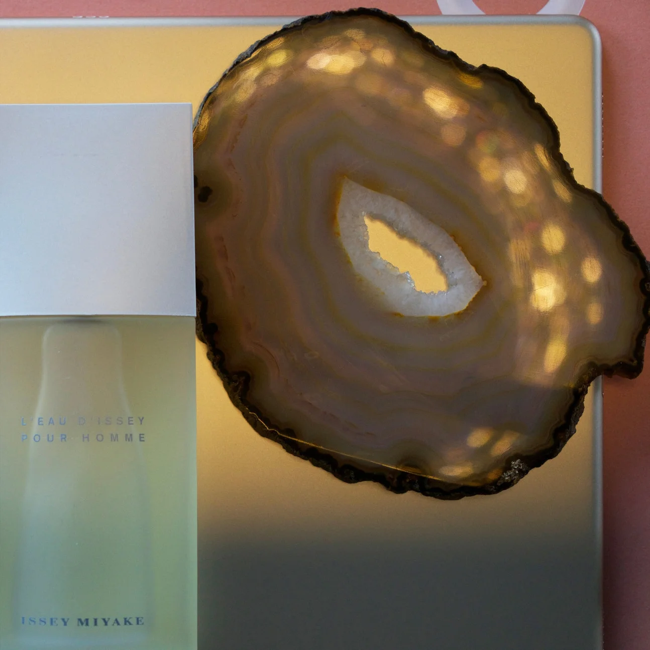 SHANE fragrance 4.jpg