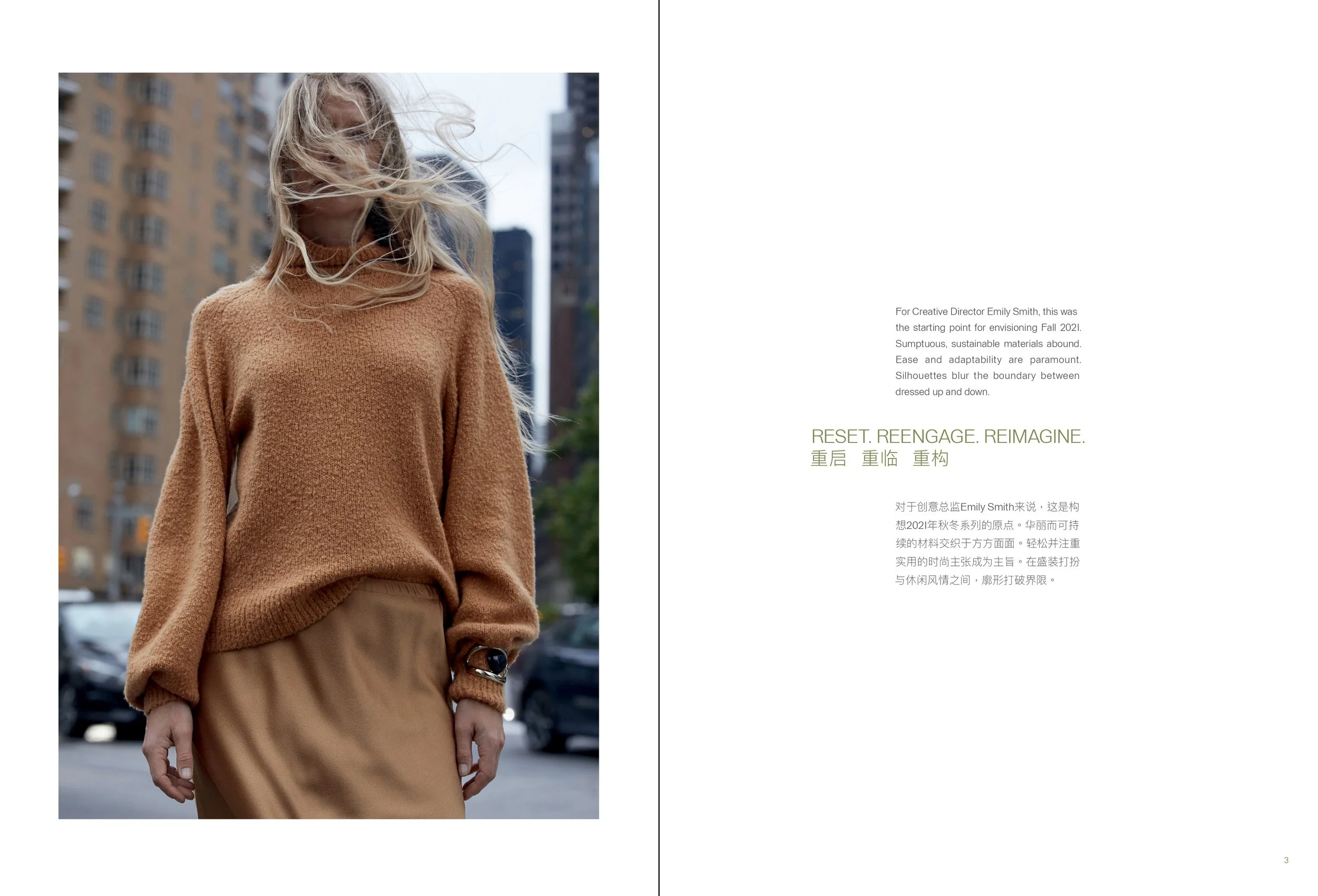 F22-BrandBook2.jpg