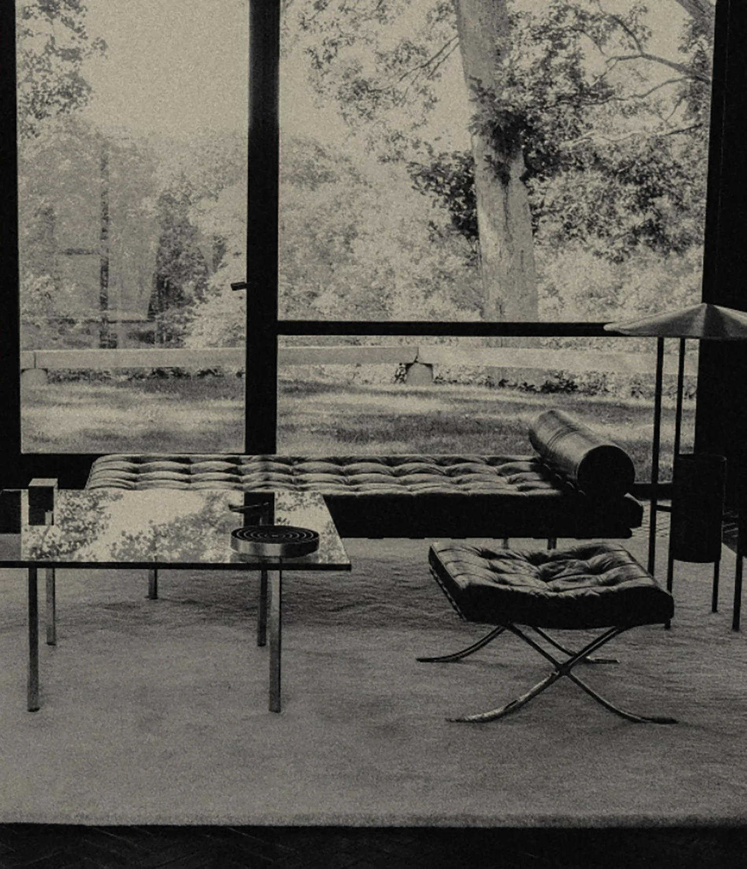 GLASS HOUSE2.jpg