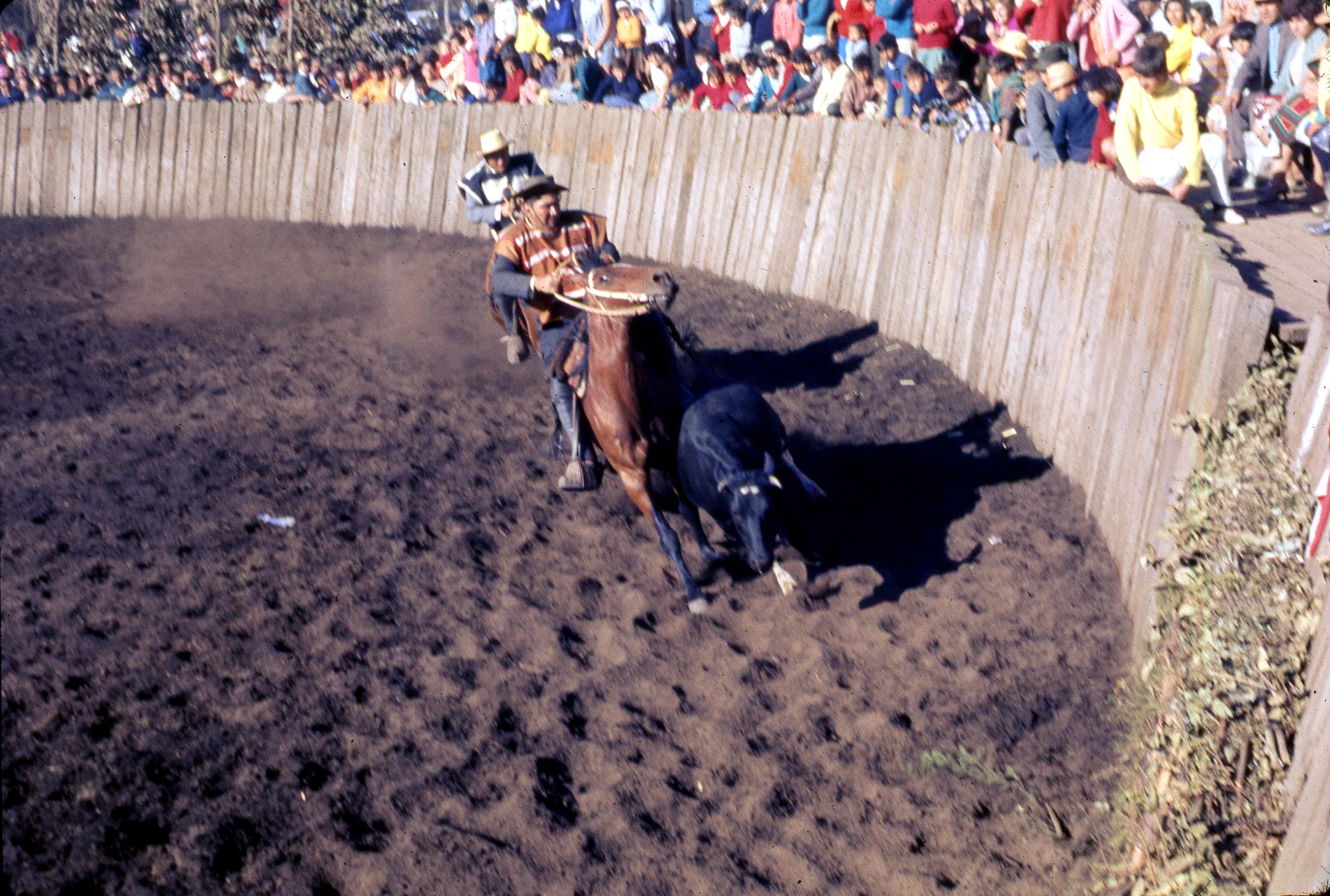 Rodeo in Curico, Spring 1967