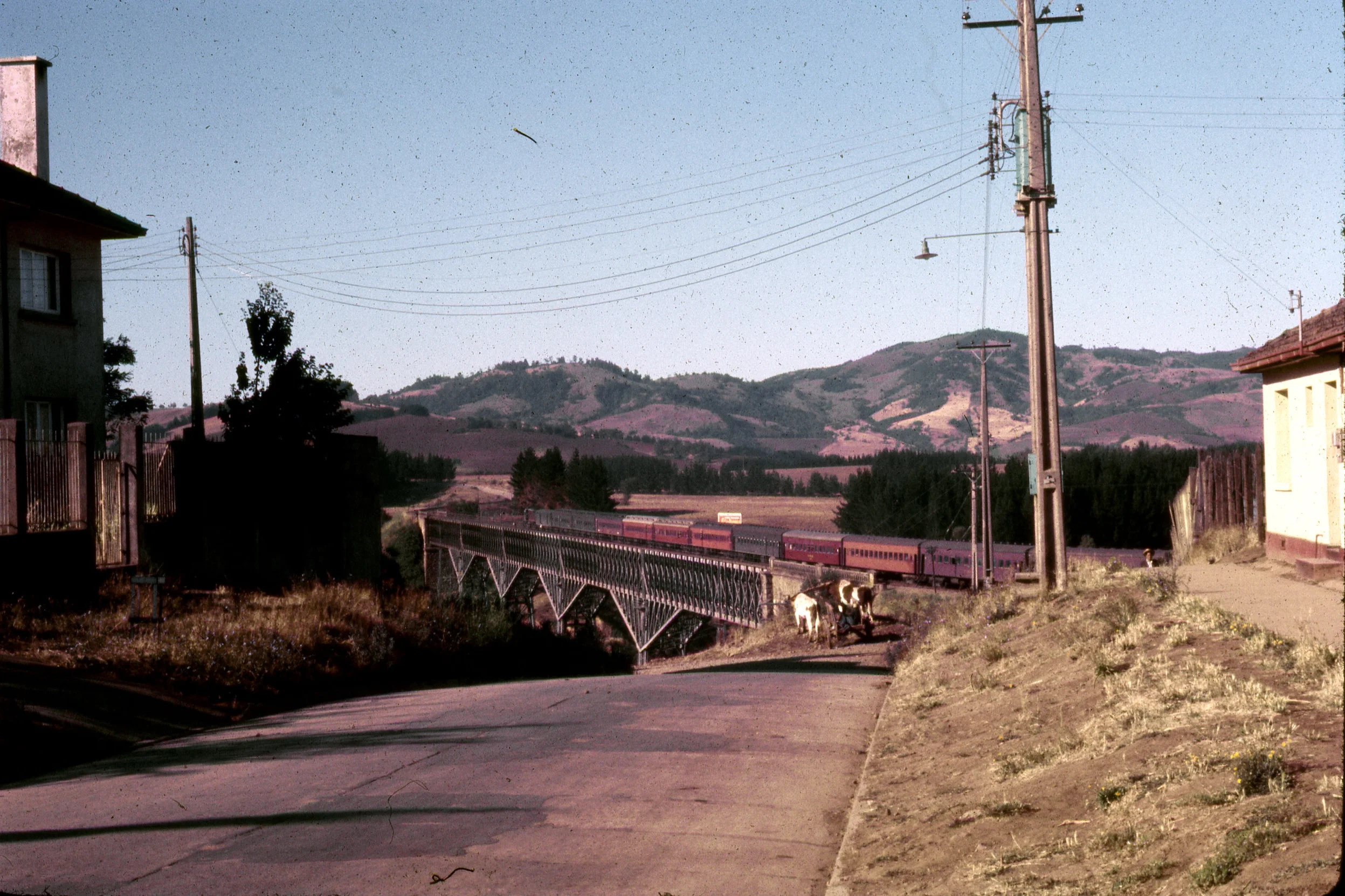 Cuesta Malleco, Summer 1968