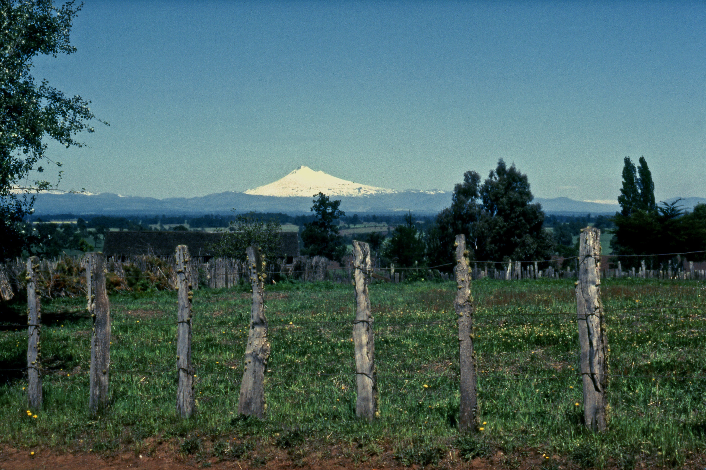Volcan Lonquimay, Dec. 1966