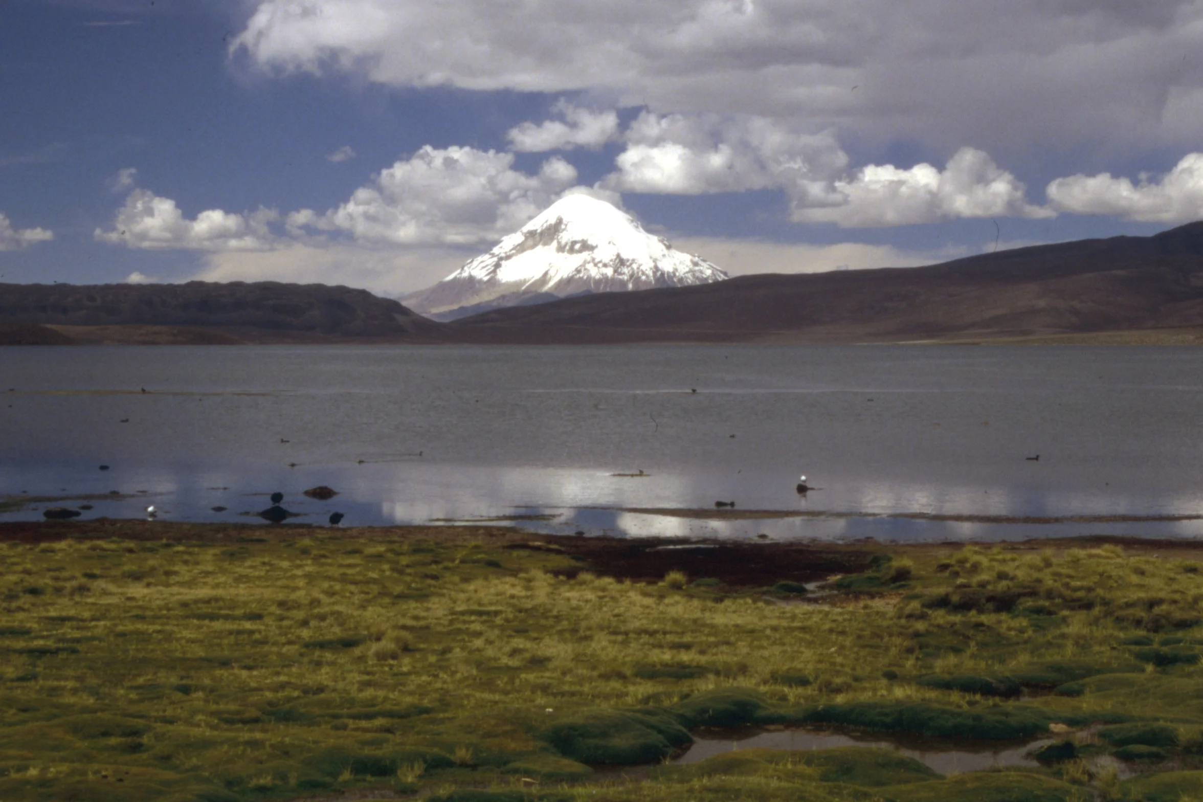 Volcan Pomerape, Near Putre, Feb. 2003