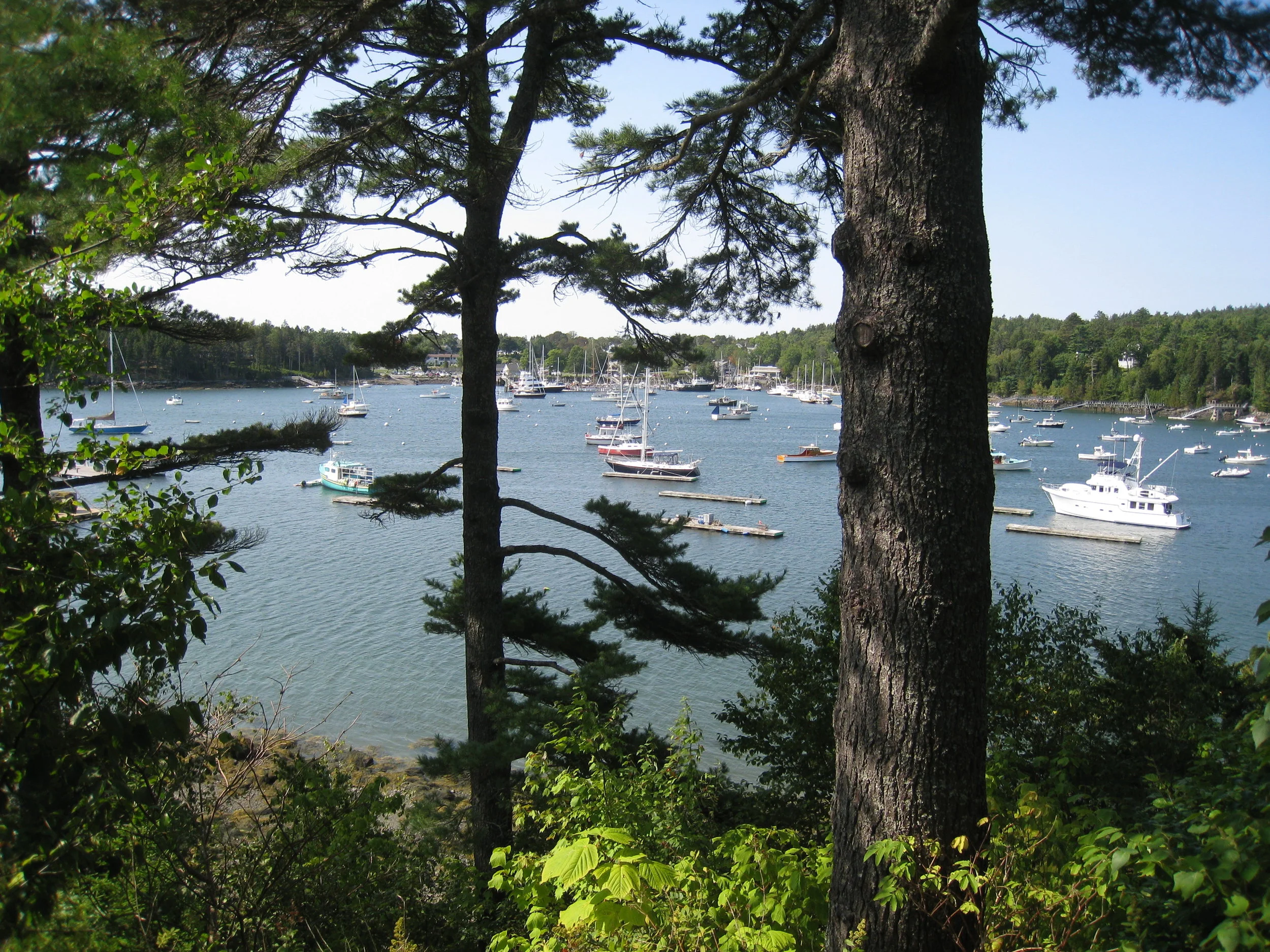 Acadia National Park, Photo by Karl K. Kindel