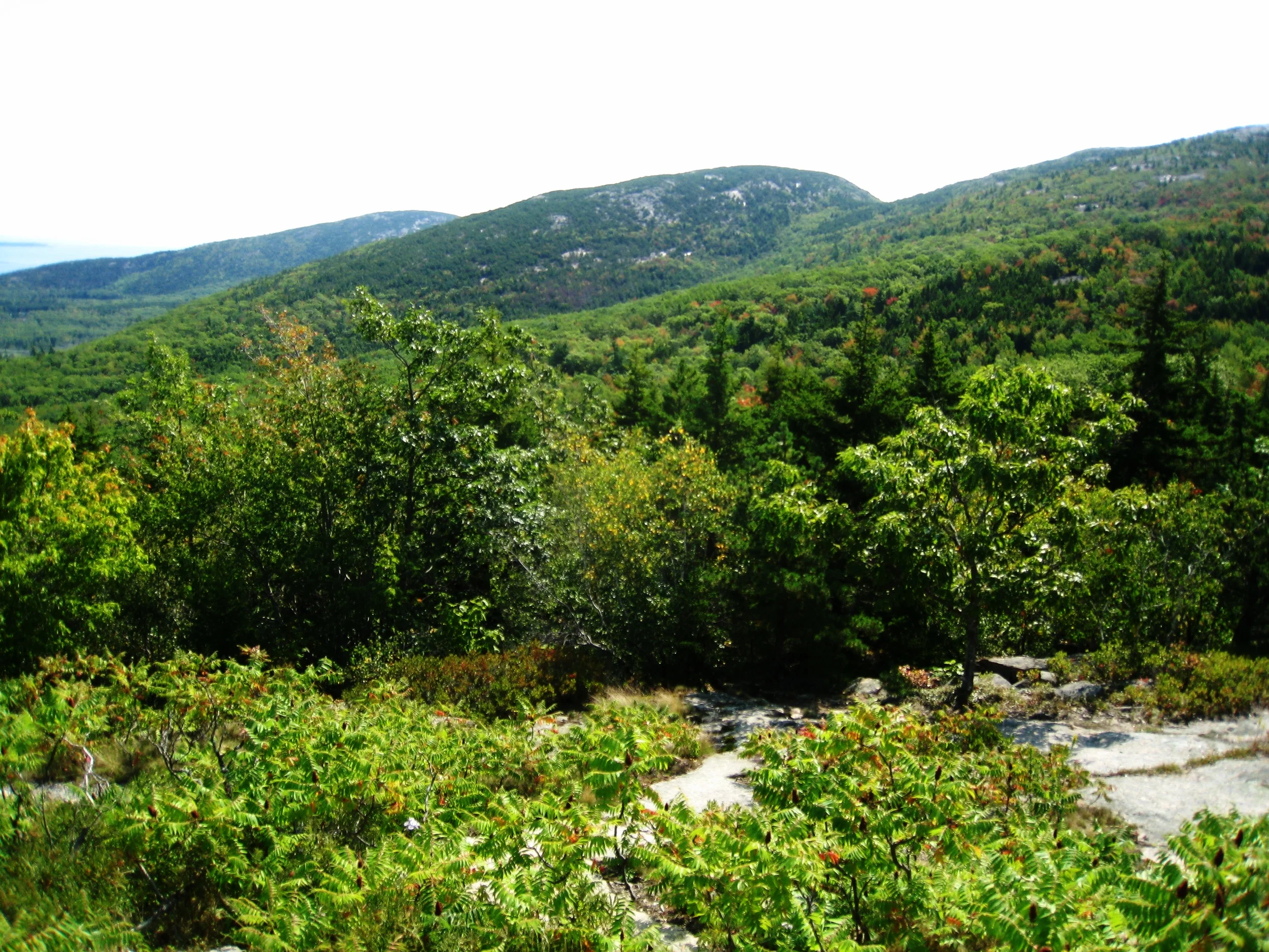 Acadia National Park, Photo by Karl K. Kindel