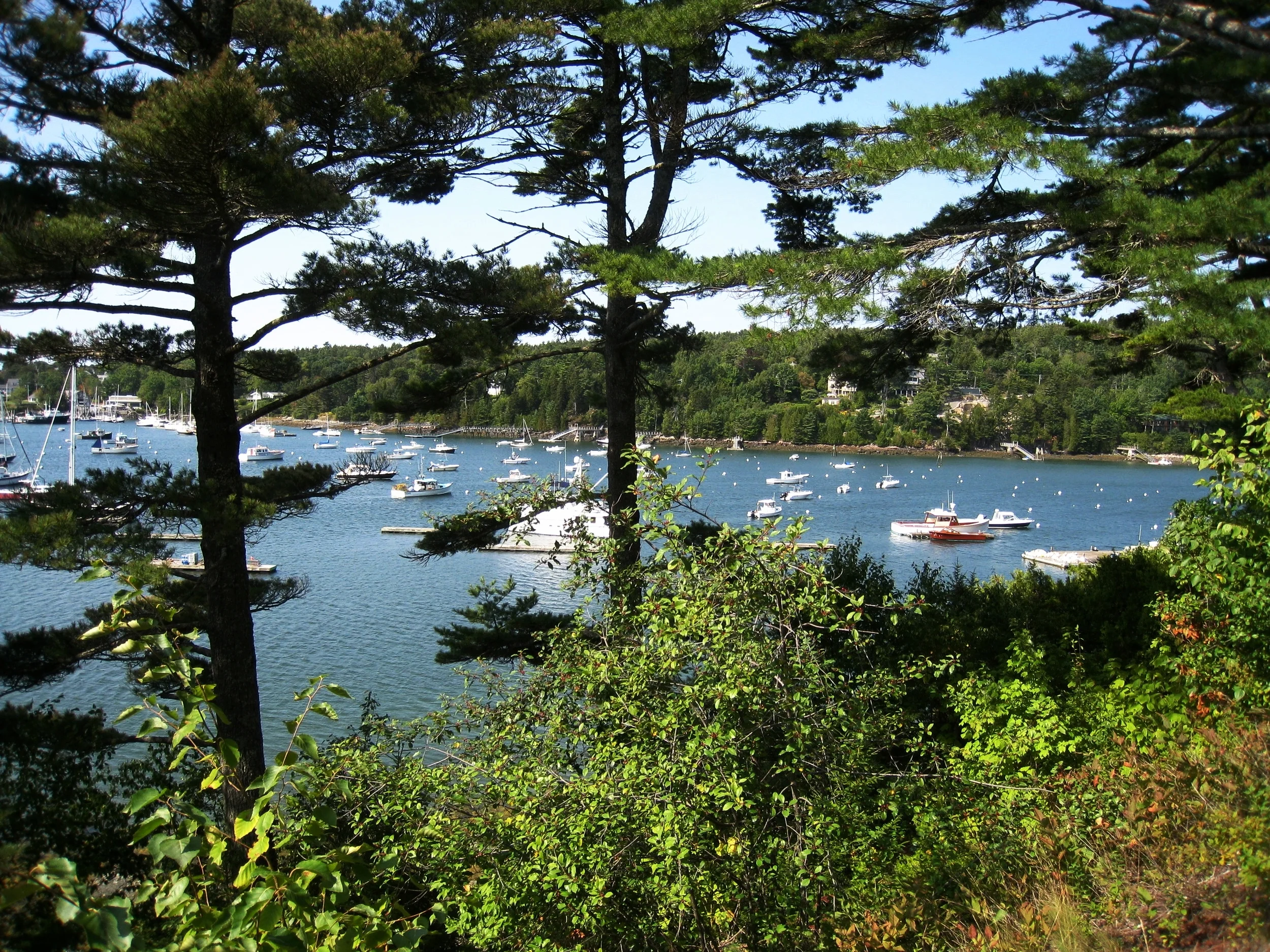 Acadia National Park, Photo by Karl K. Kindel