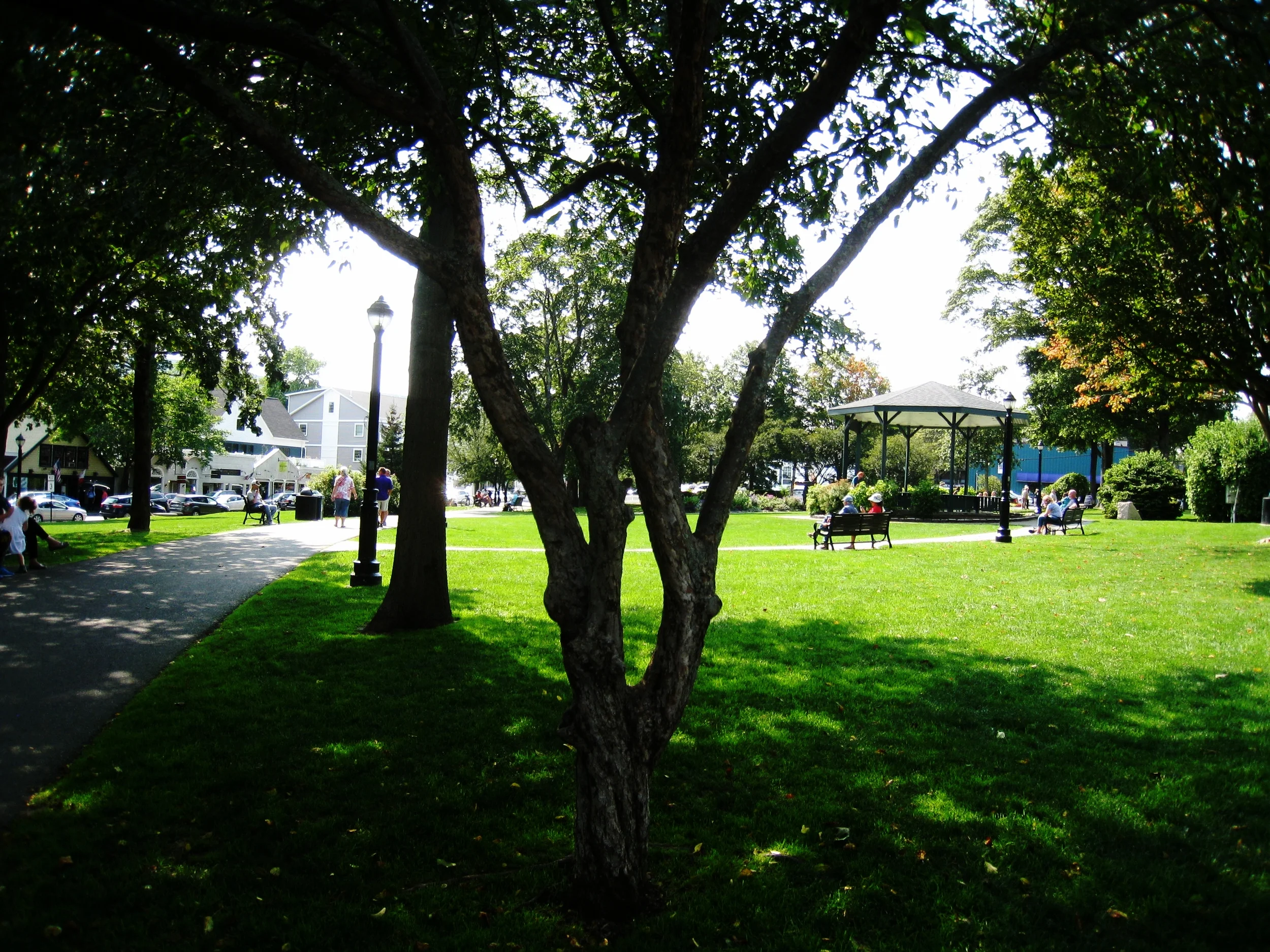 Acadia National Park, Photo by Karl K. Kindel