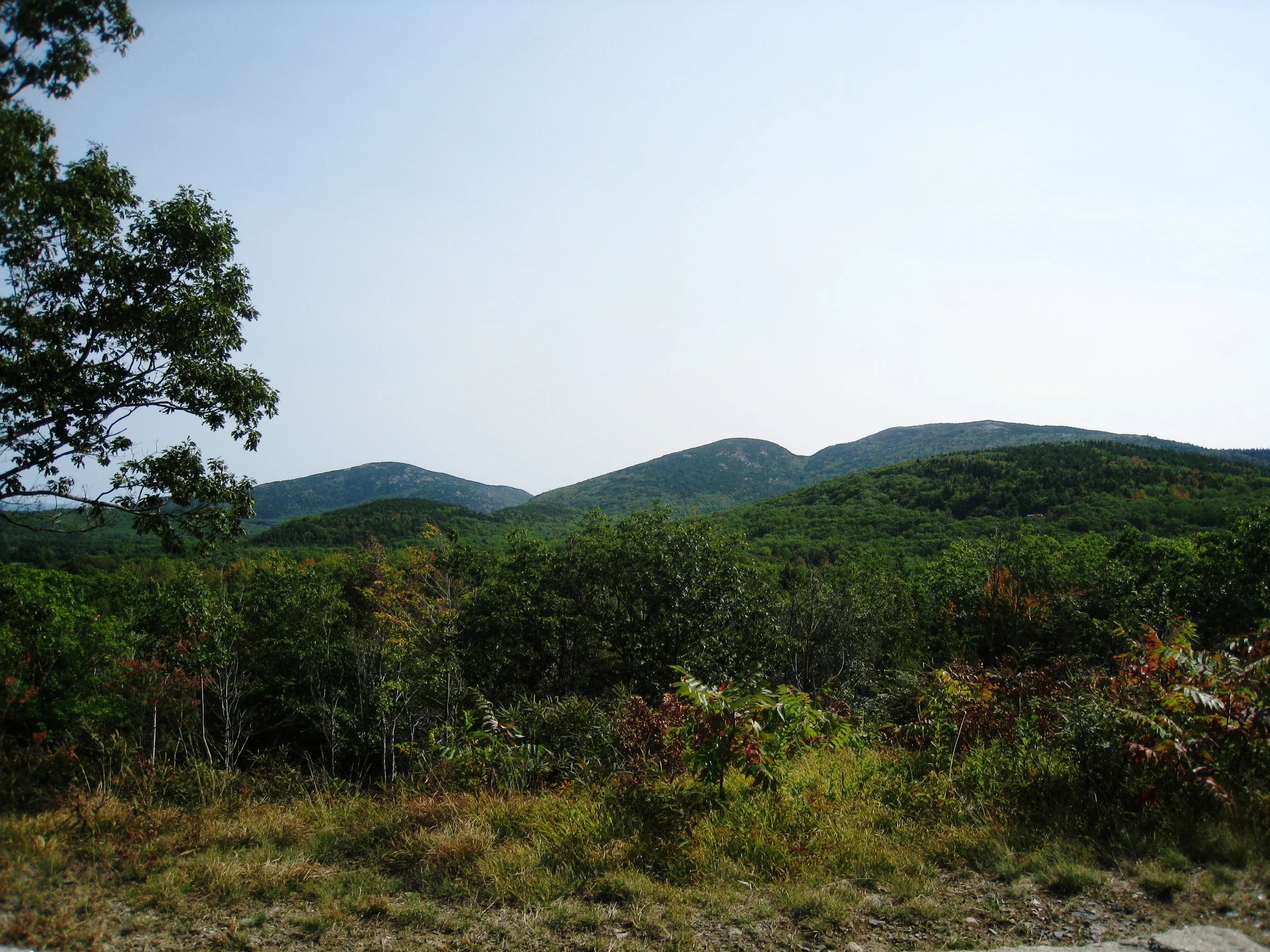 Acadia National Park, Photo by Karl K. Kindel