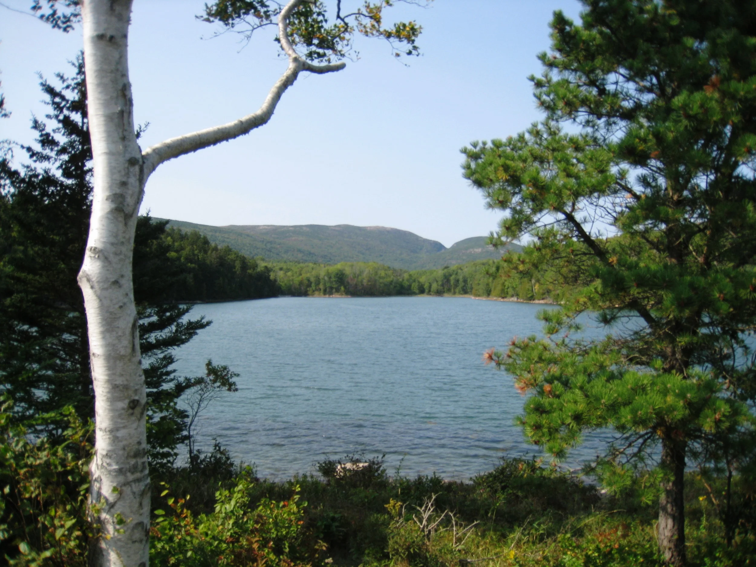 Acadia National Park, Photo by Karl K. Kindel