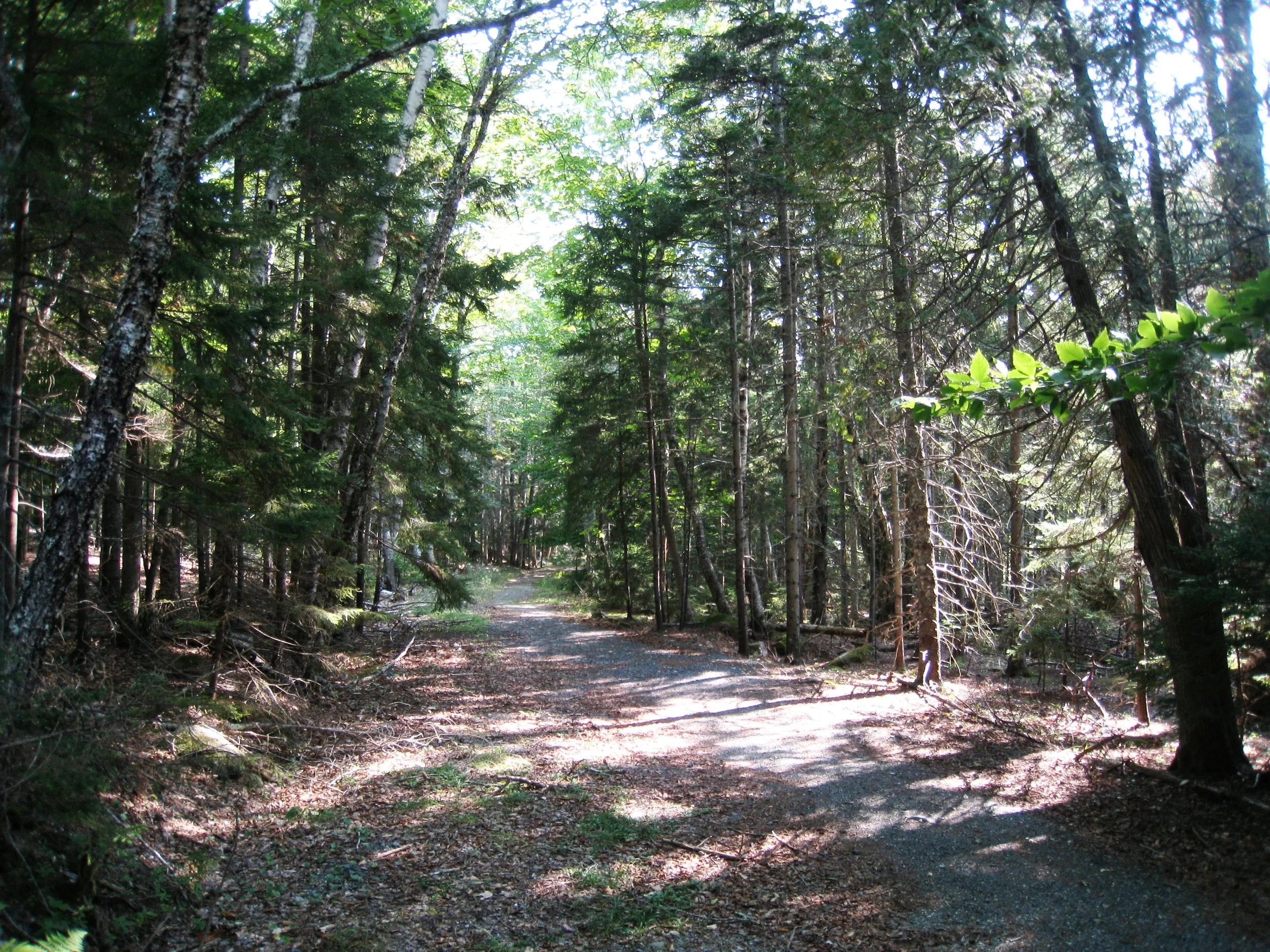Acadia National Park, Photo by Karl K. Kindel