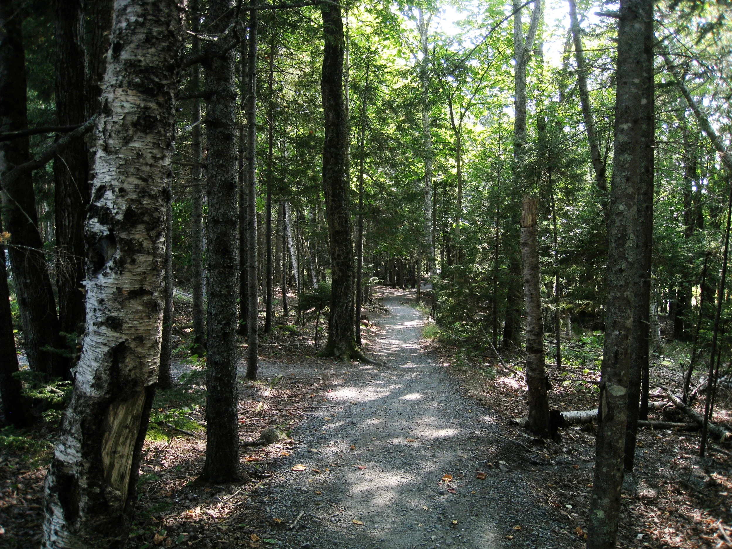 Acadia National Park, Photo by Karl K. Kindel