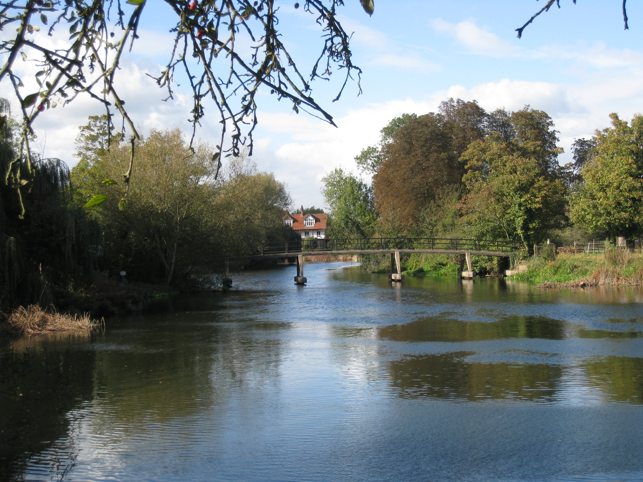  Reading--Looking up the Thames 