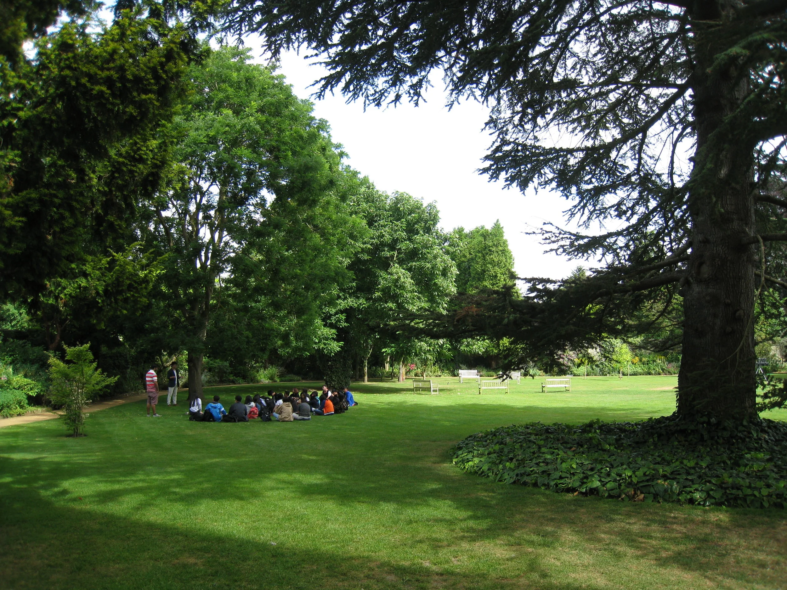  Wadham College--Grounds 