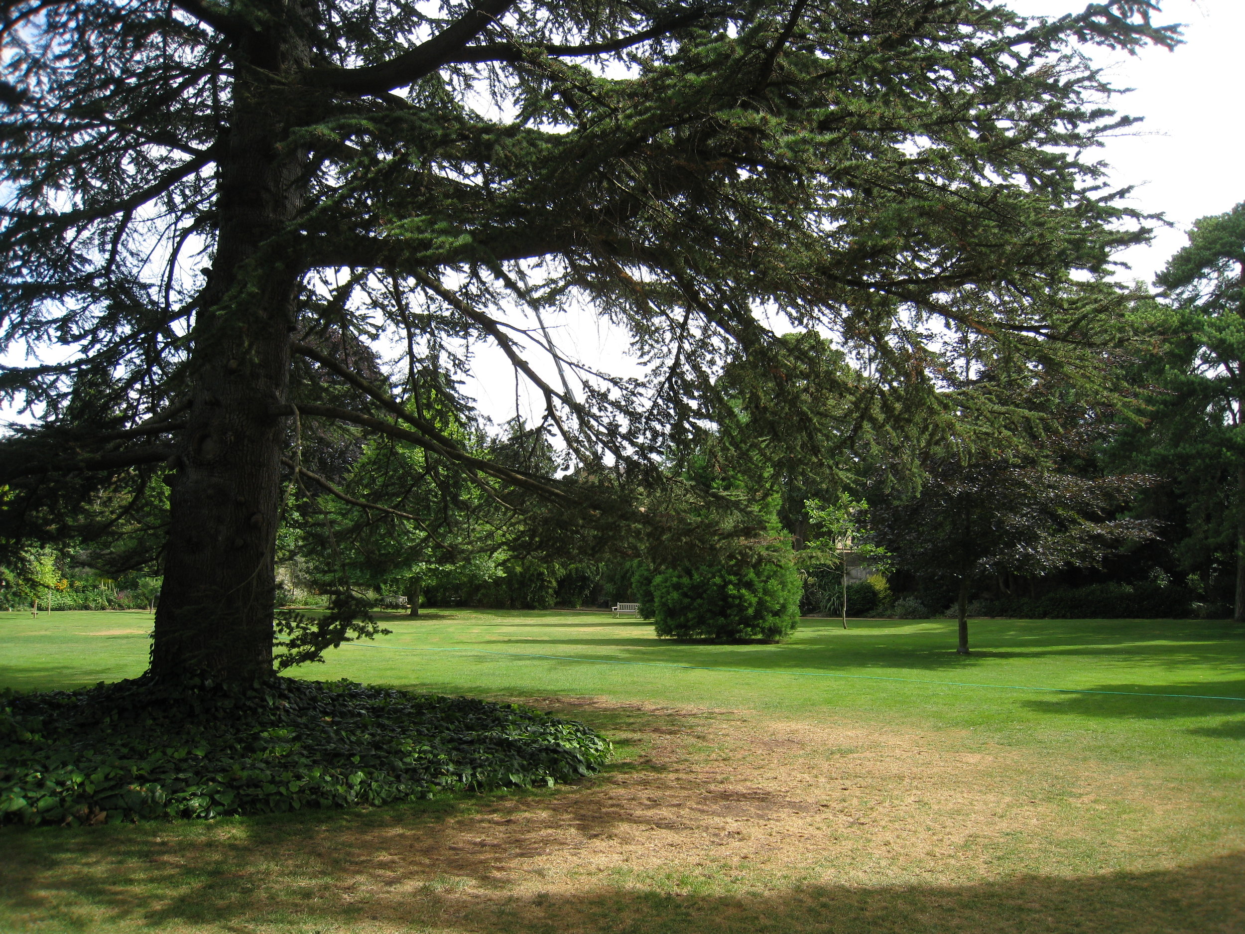  Wadham College--Grounds 