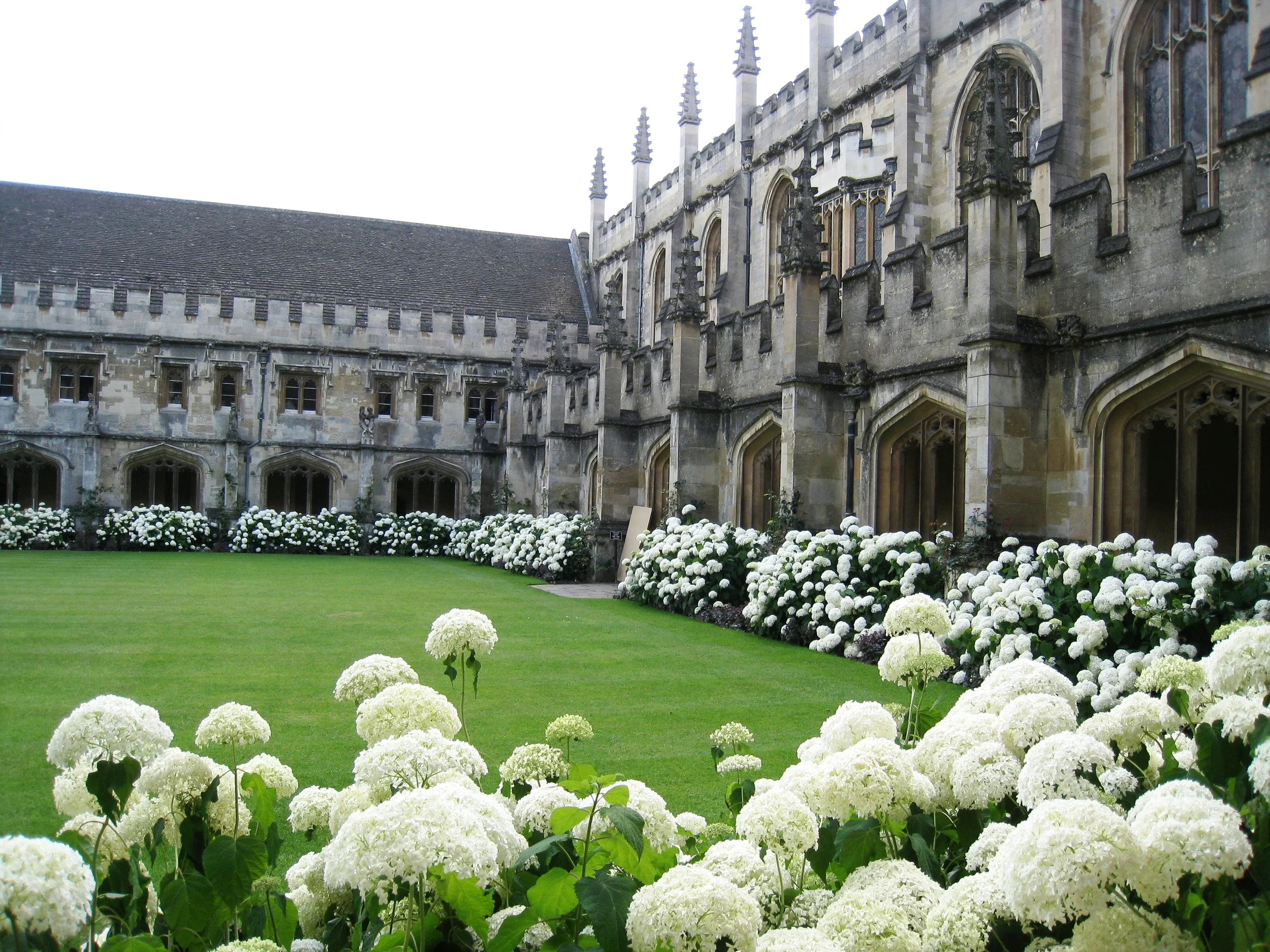  Magdalen College--Interior quad 
