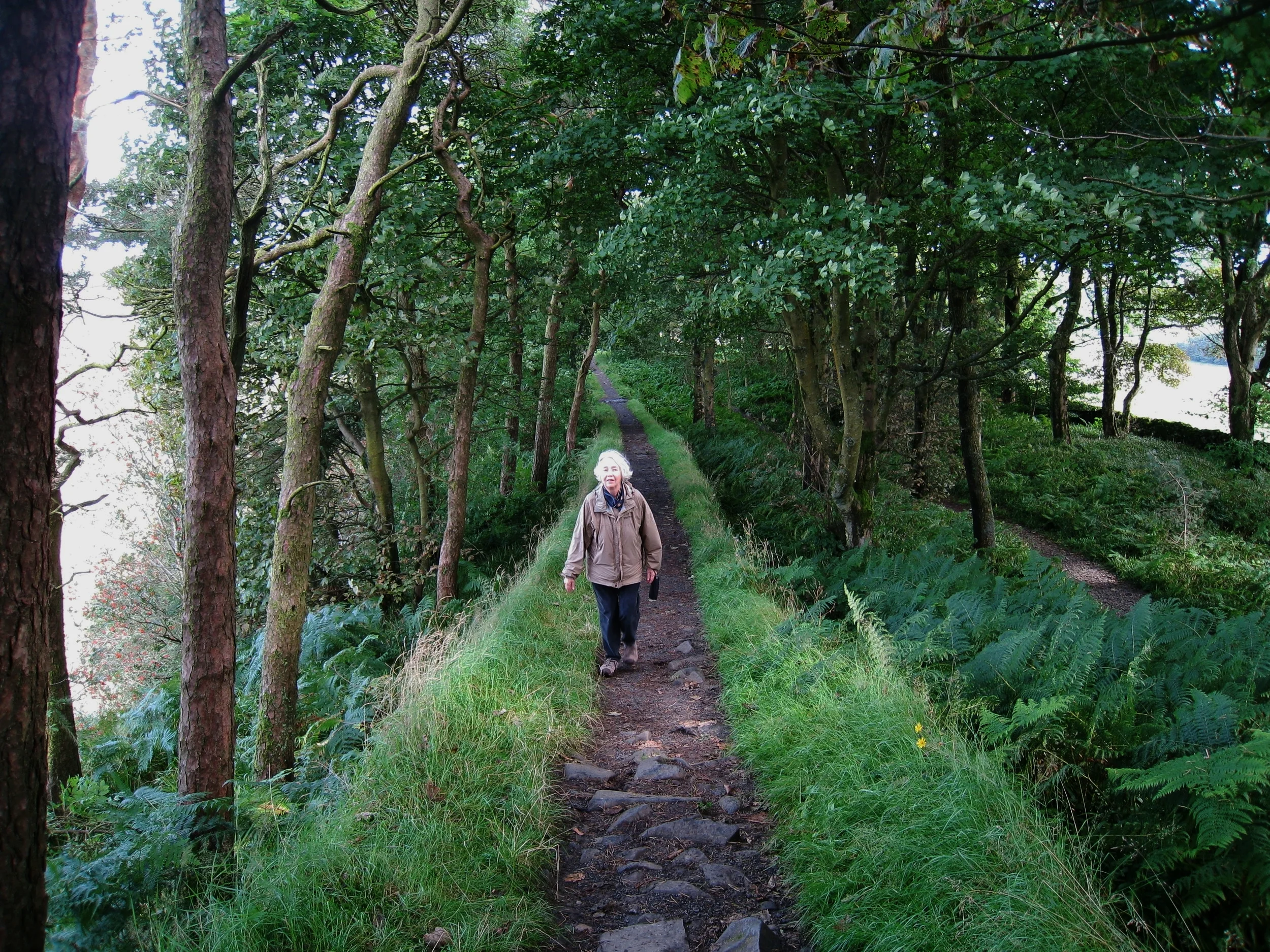  Hadrian's Wall--The Wall--the only place where you were allowed to walk actually on the Wall--Carrol Benner Kindel 