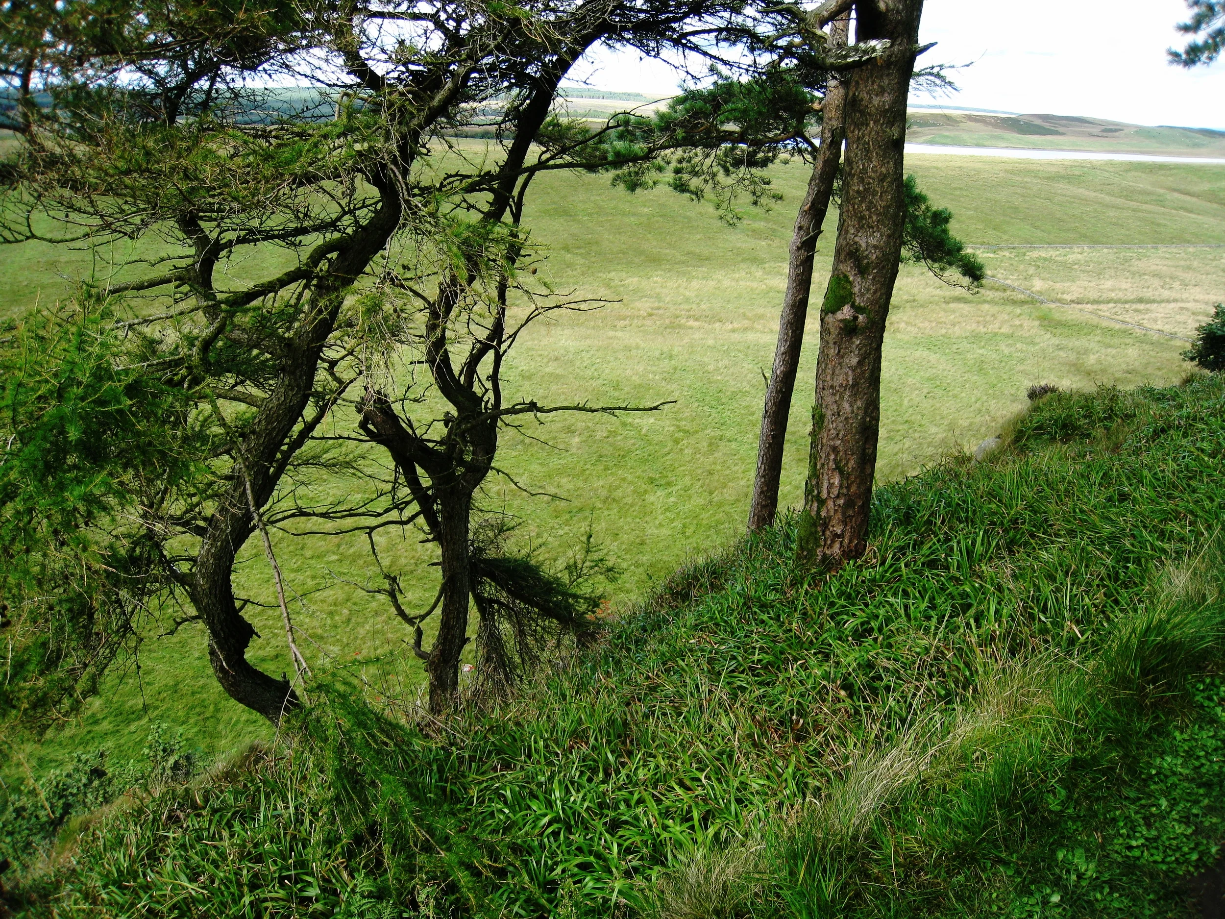  Hadrian's Wall--The Wall, looking out and down (about 300 feet) 