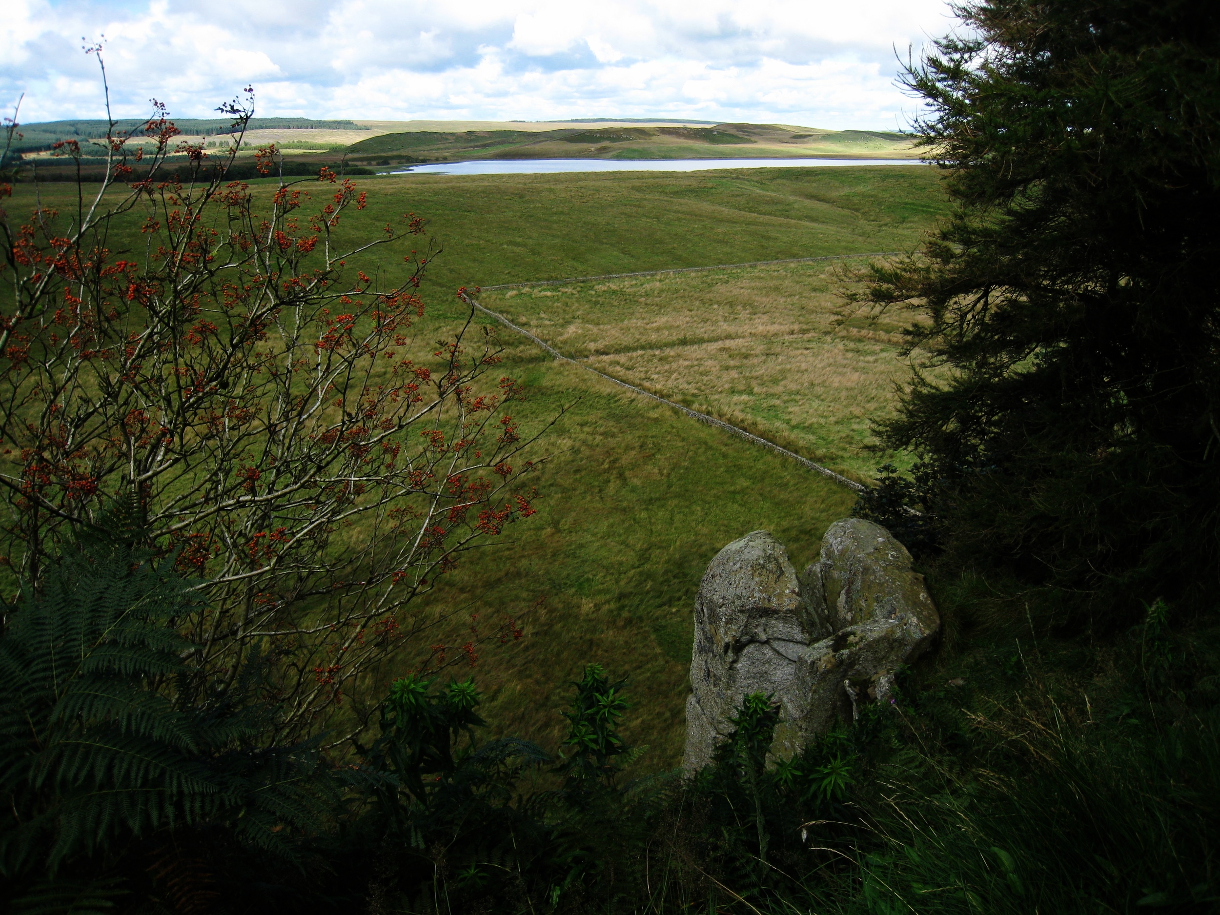  Hadrian's Wall--The Wall, looking out and down (about 300 feet) 