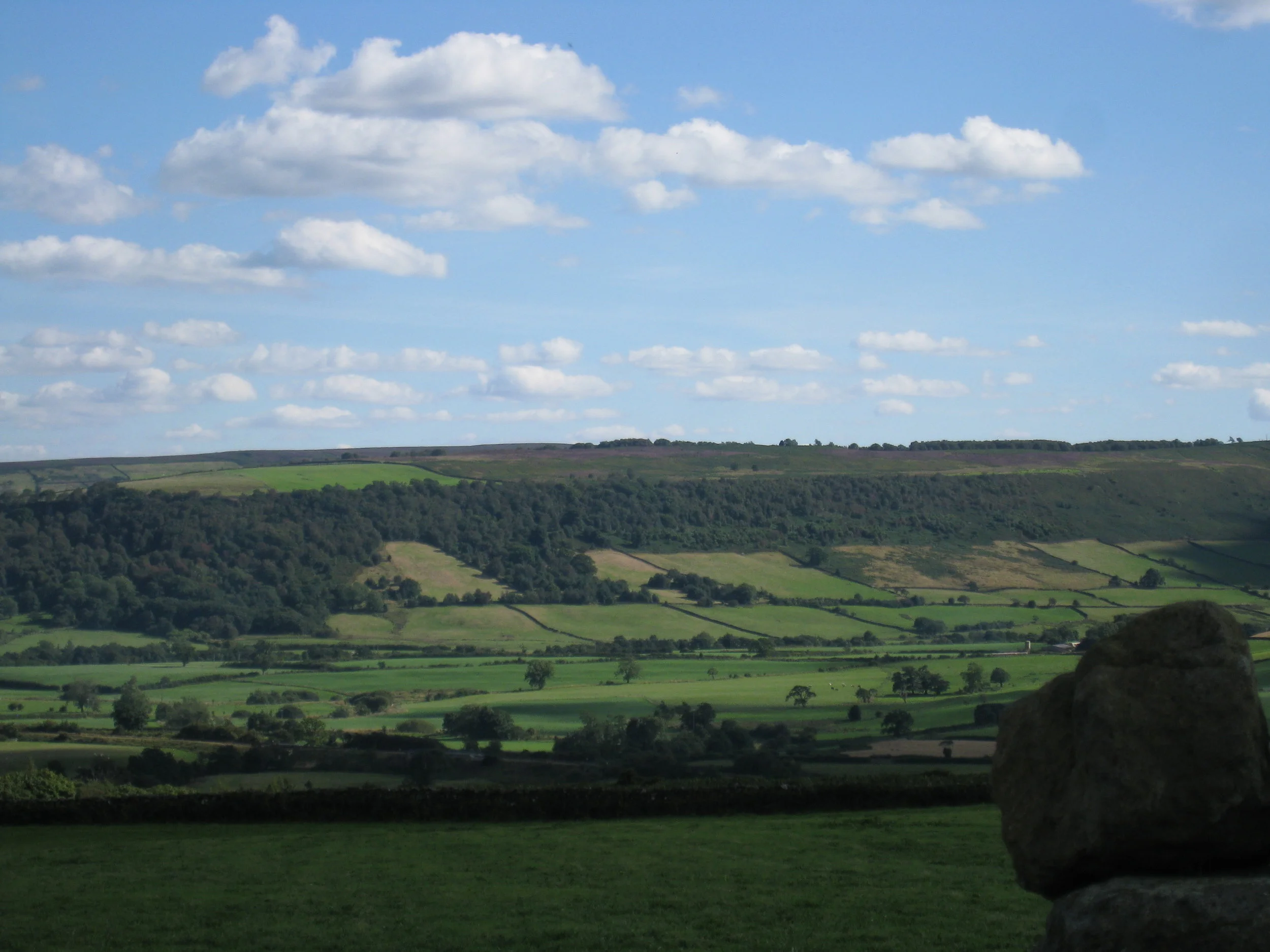  Yorkshire--Castleton Moor--Heather blooming on the Incline to the quarries--View across the Vale 