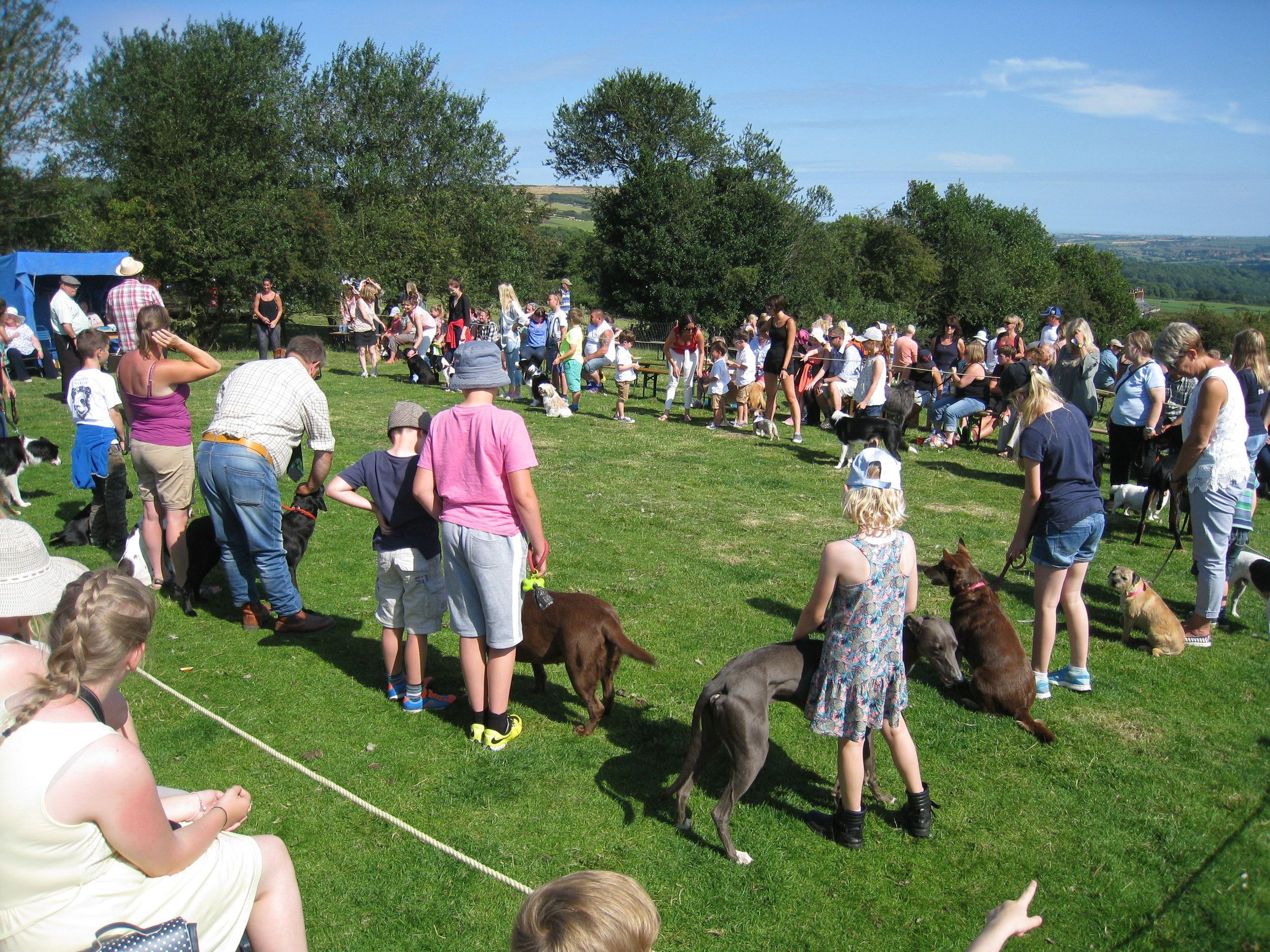  Egton--Ag. Show--Dog Judging 