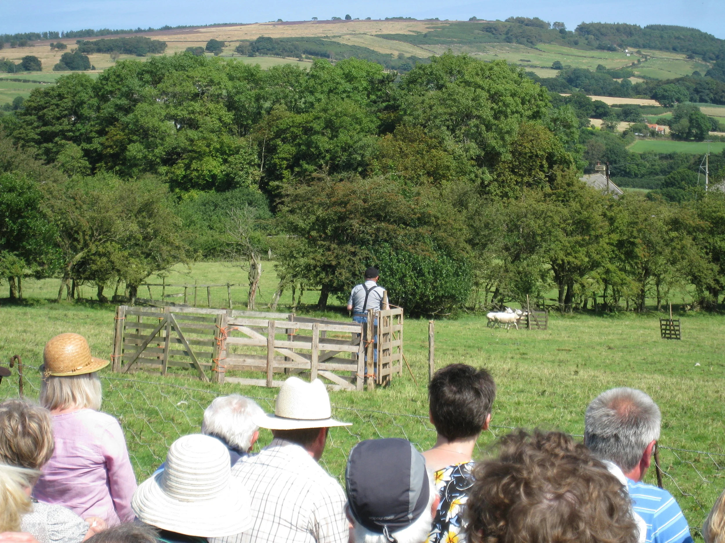  Egton--Ag. Show--Sheep Dog competition 