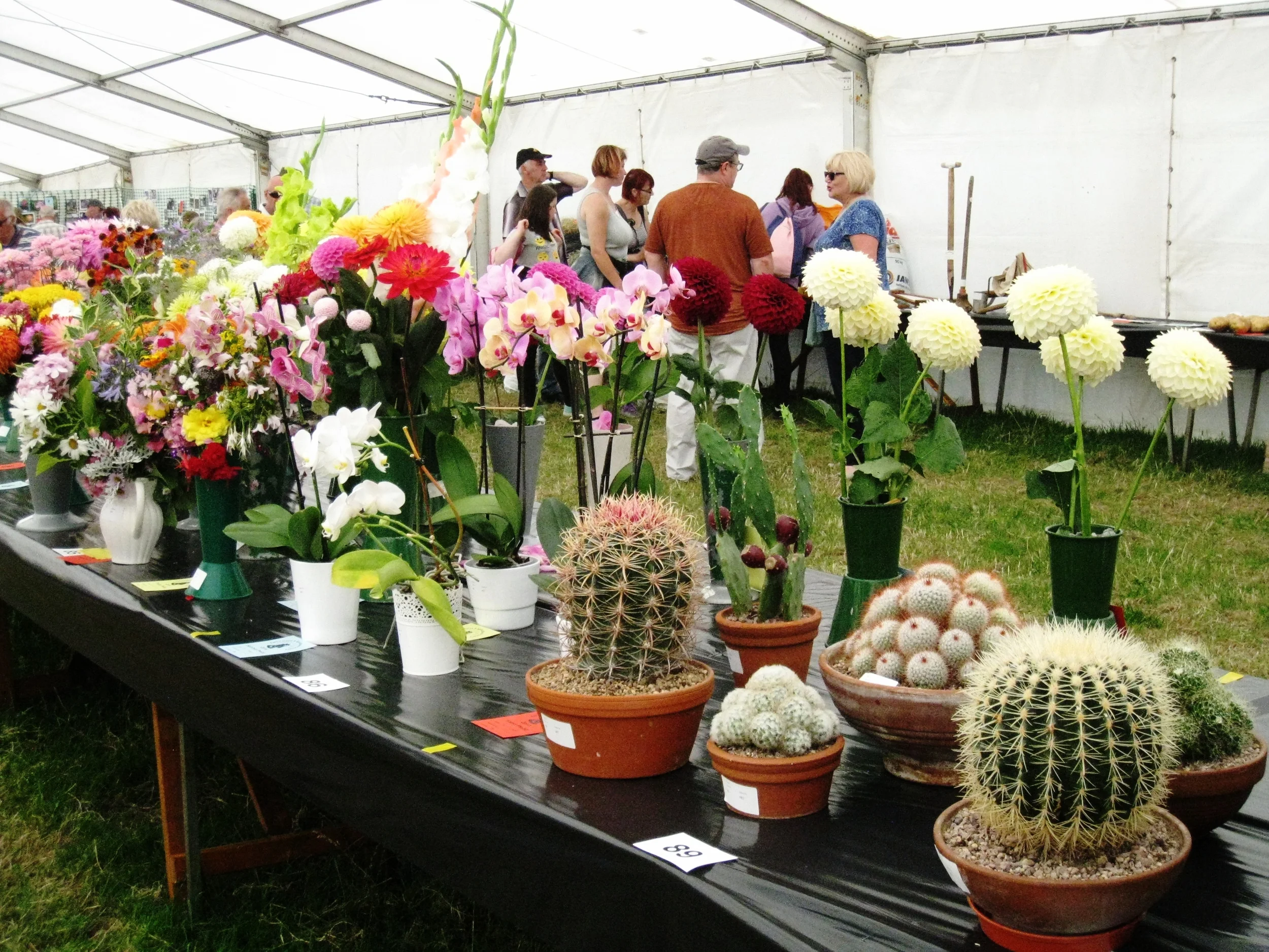  Egton--Ag. Show--Ag. Judging tent--Prize Flowers 