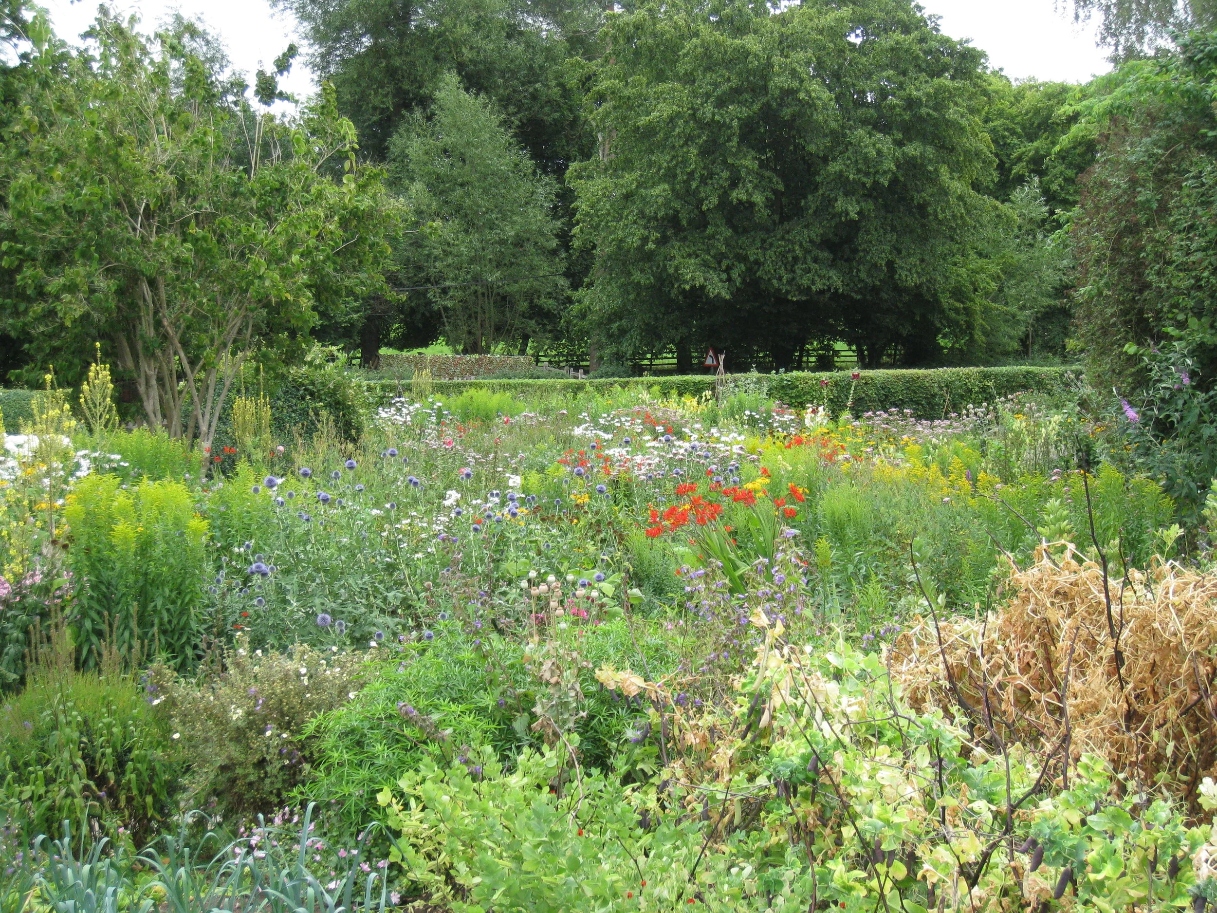  Stratford-upon-Avon--Anne Hathaway's House--Garden 
