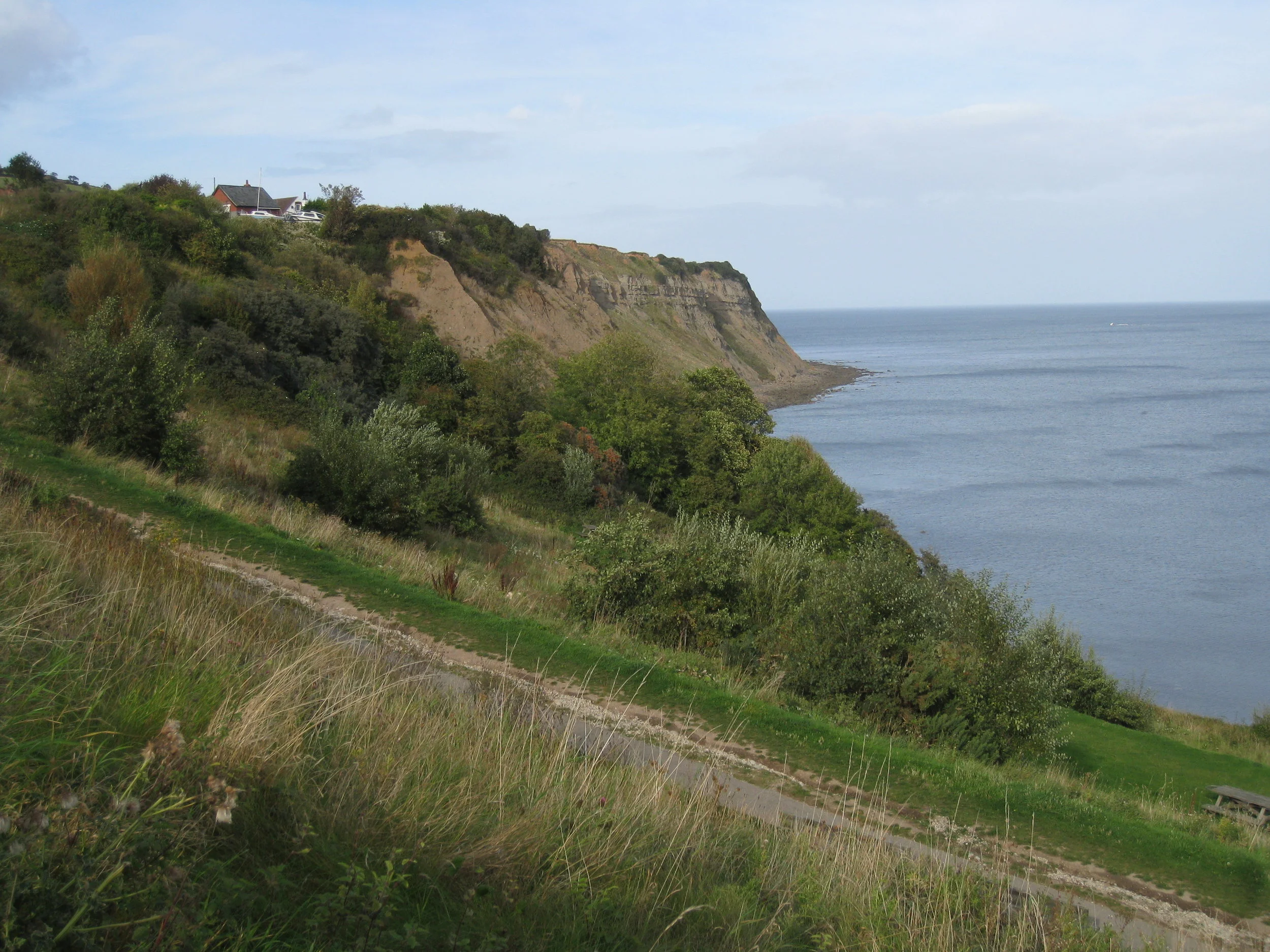  Robin Hood's Bay--2011 