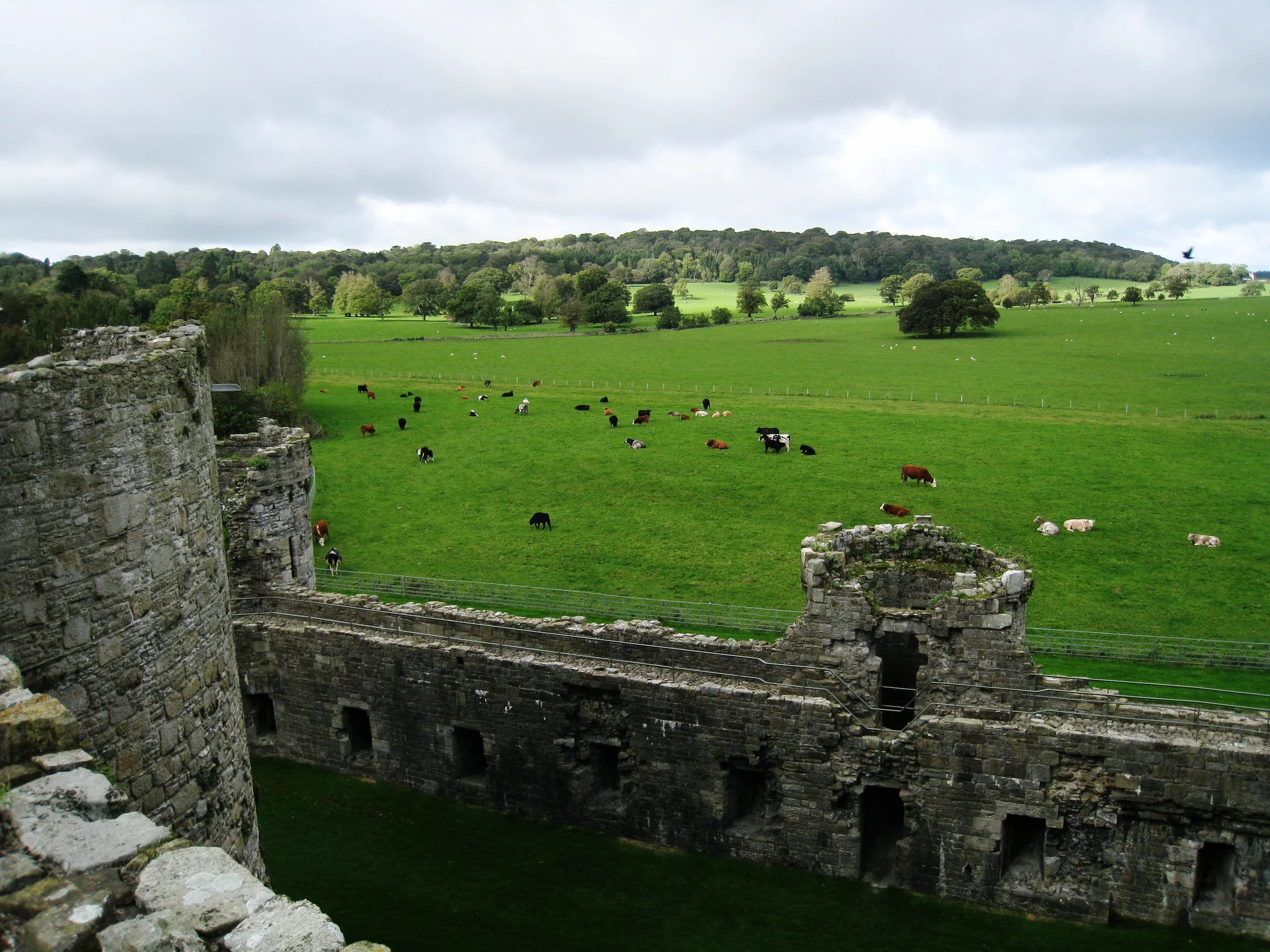  Wales--Beaumaris--Castle--Looking from inner ward walls outward over outer ward and walls 