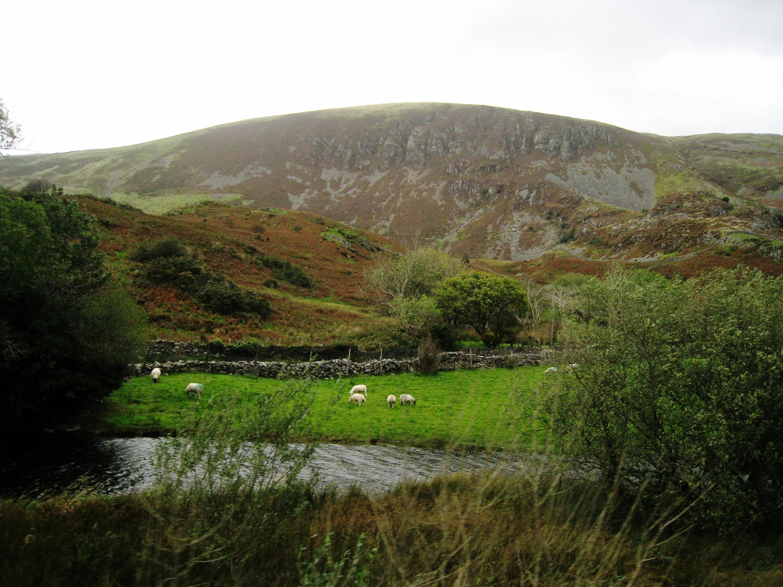 Wales--Welsh Highland Railroad near Waunfawr 