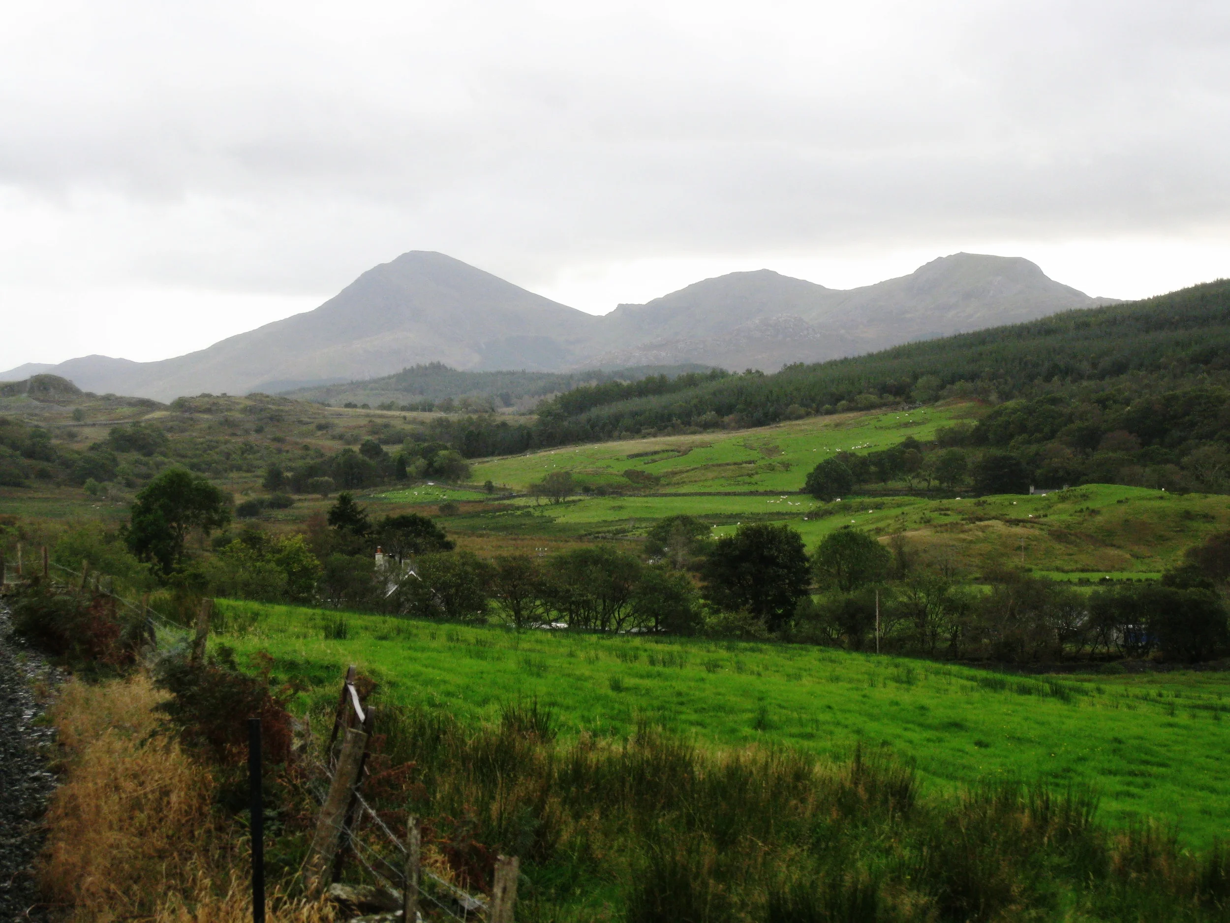  Wales--Welsh Highland Railroad near Plas y Nant 