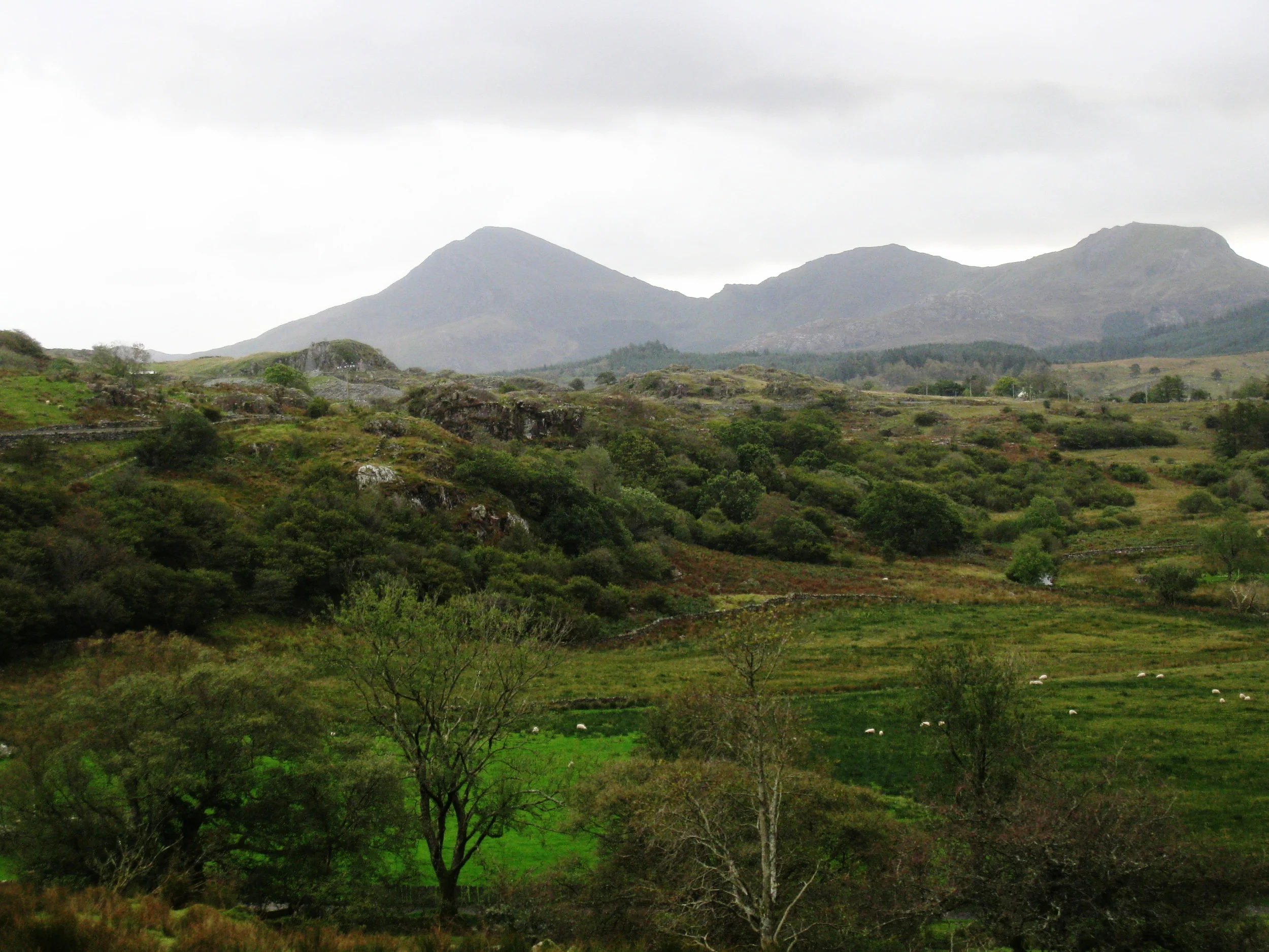  Wales--Welsh Highland Railroad near Plas y Nant 