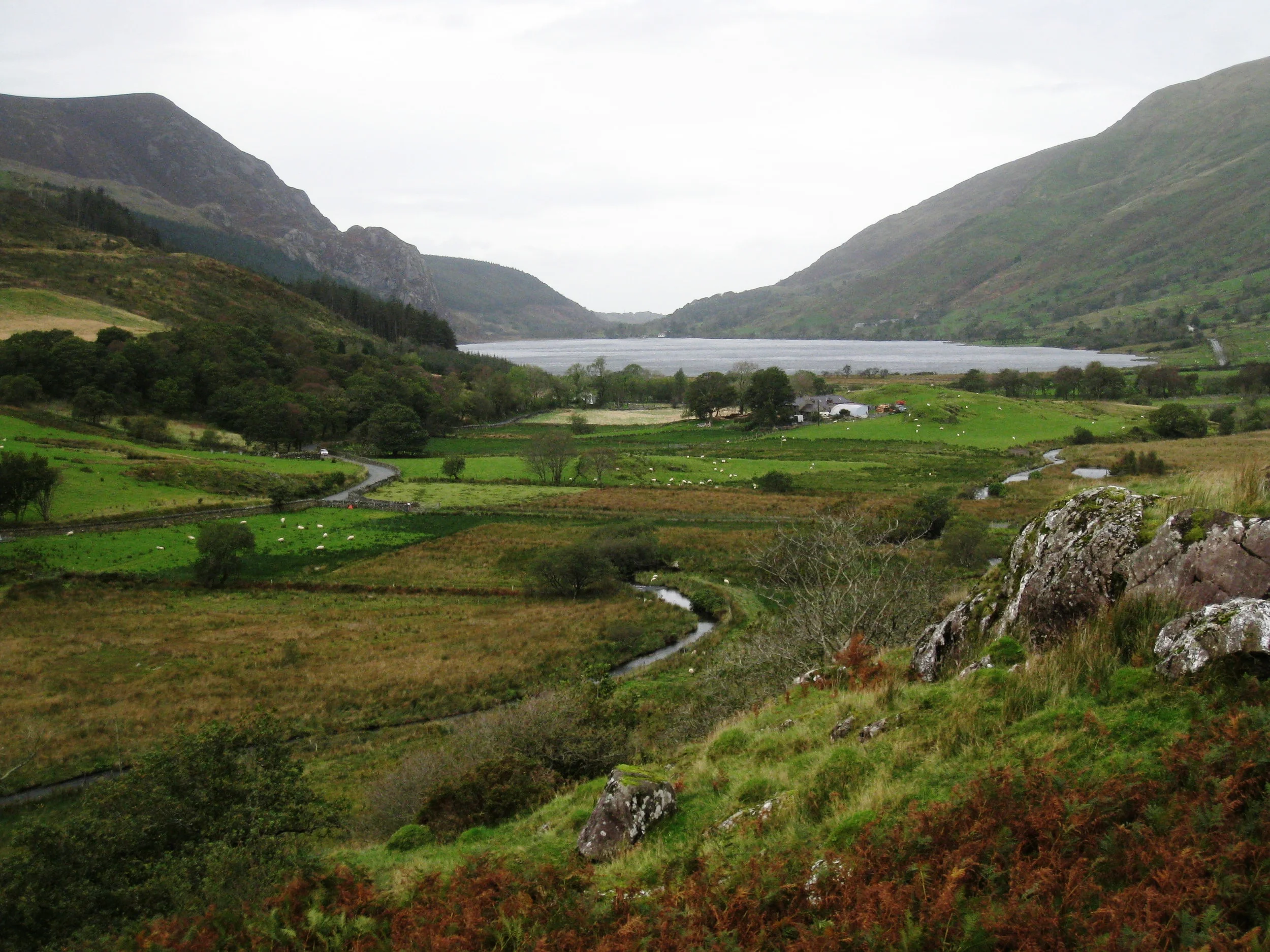  Wales--Welsh Highland Railroad near Plas y Nant 