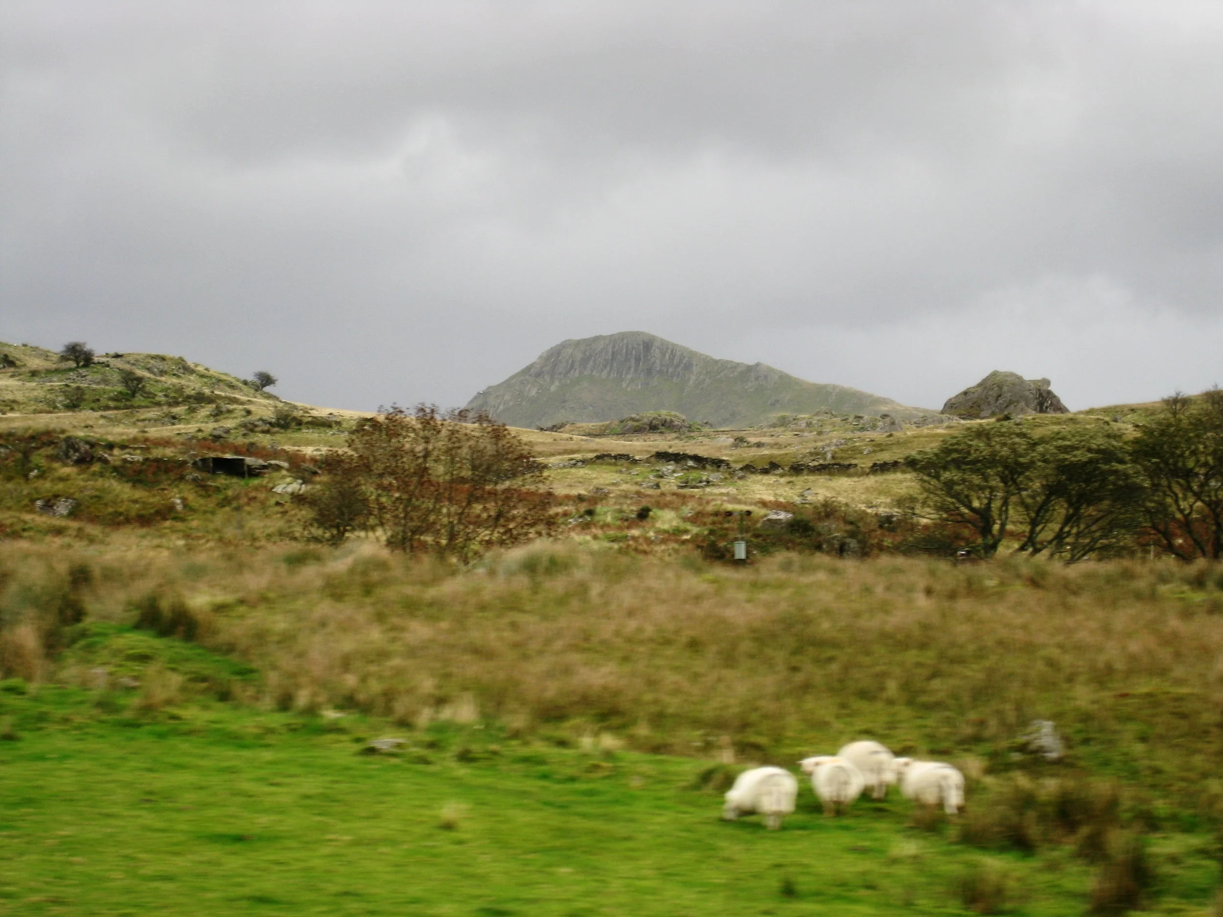  Wales--Welsh Highland Railroad near Rhyd Ddu.&nbsp; 