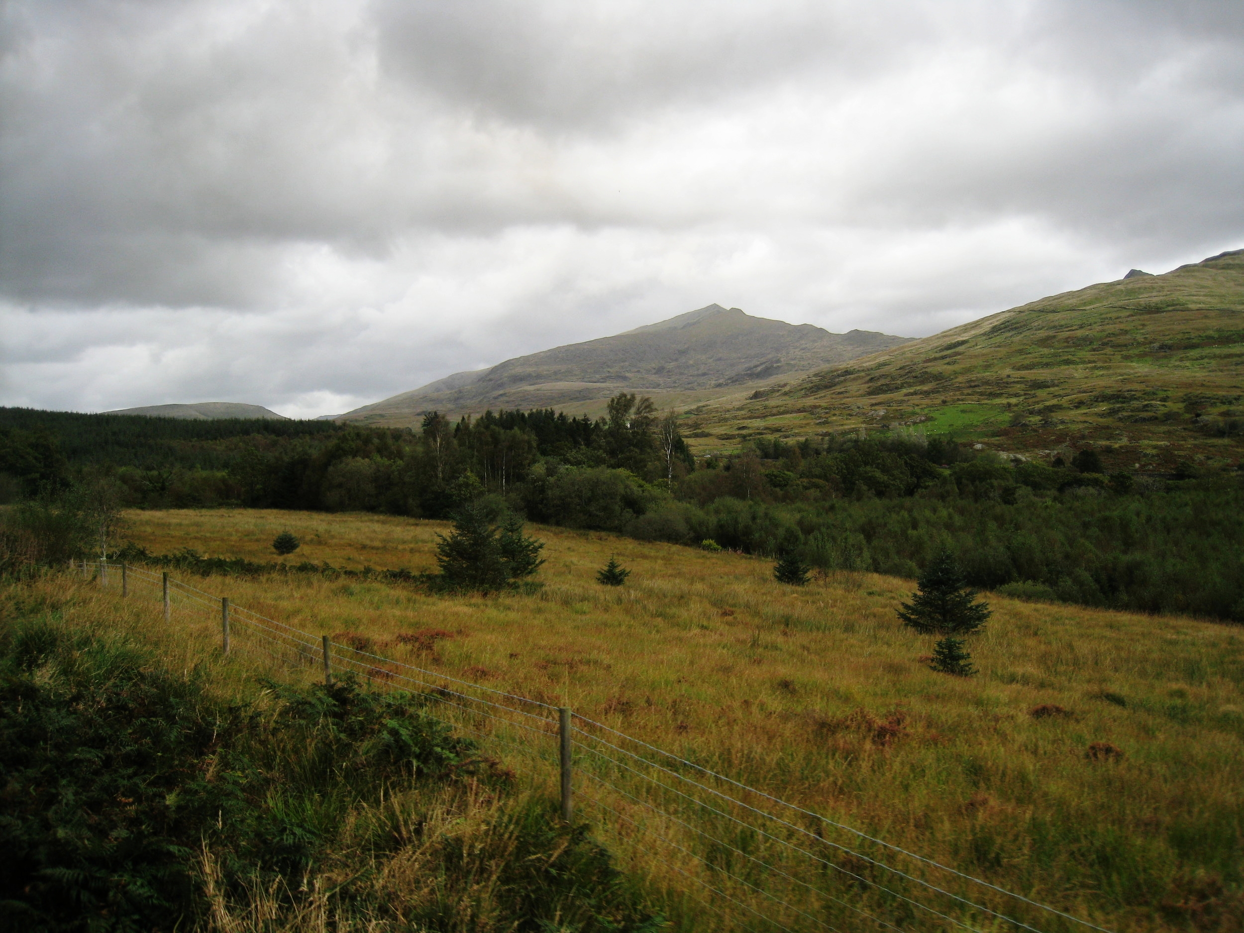  Wales--Welsh Highland Railroad near Rhyd Ddu 