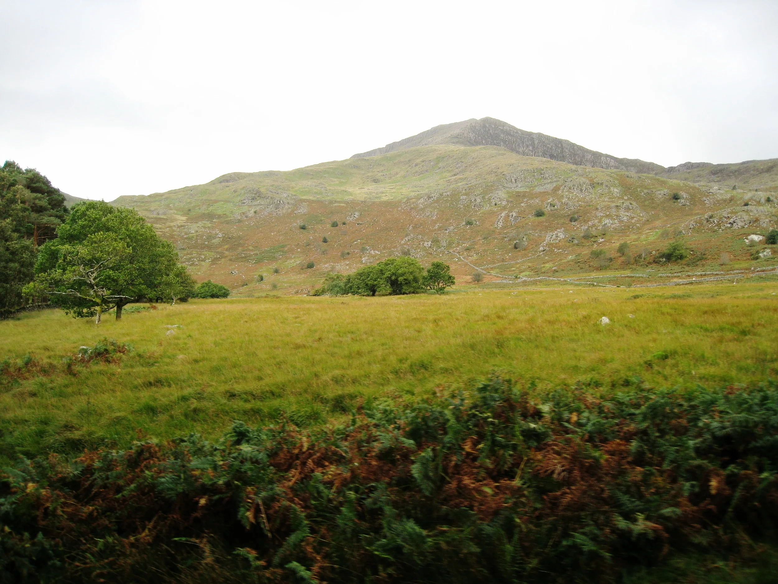  Wales--Welsh Highland Railroad near Rhyd Ddu 