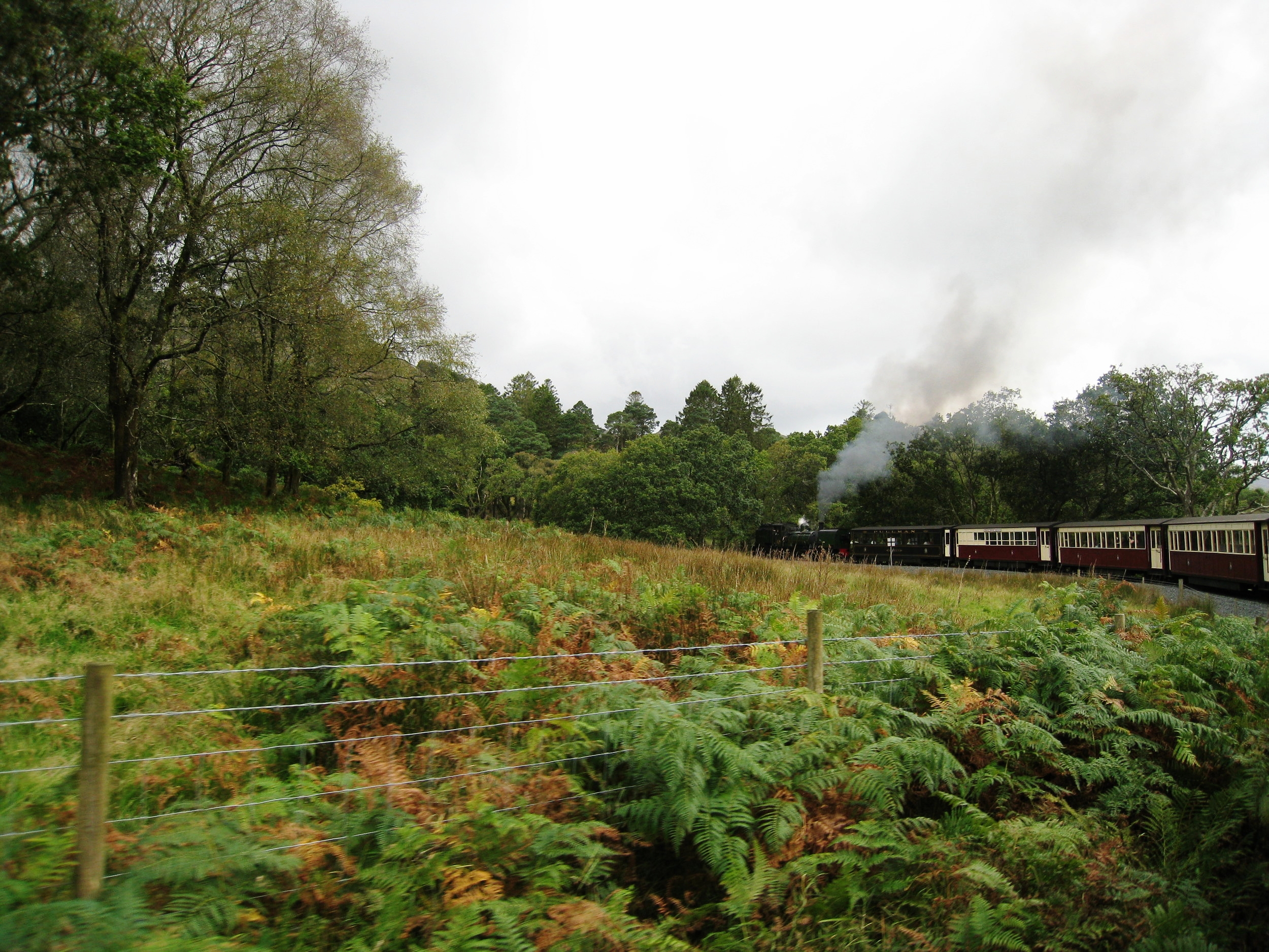  Wales--Welsh Highland Railroad near Beddgelert 