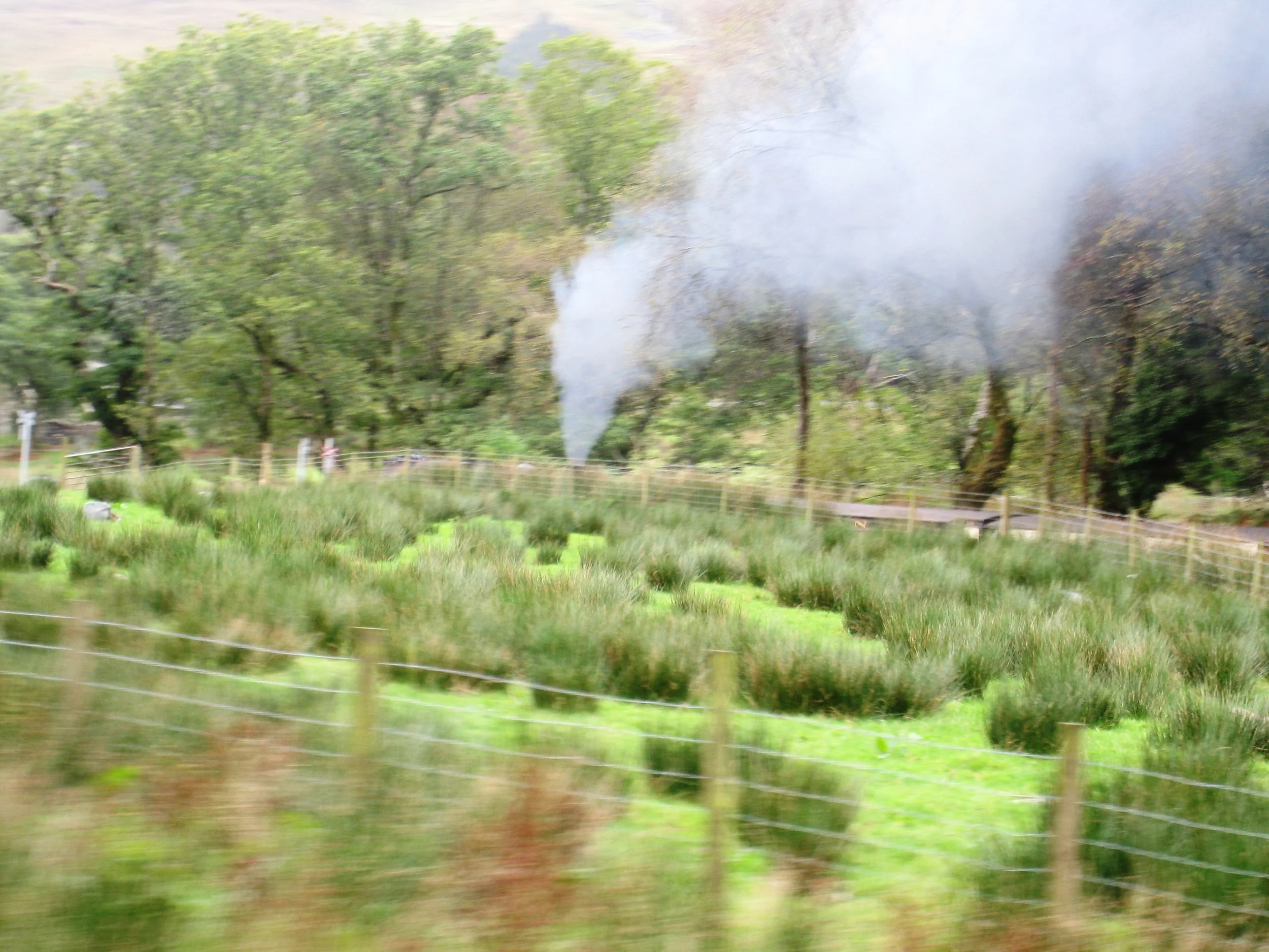  Wales--Welsh Highland Railroad near Beddgelert 