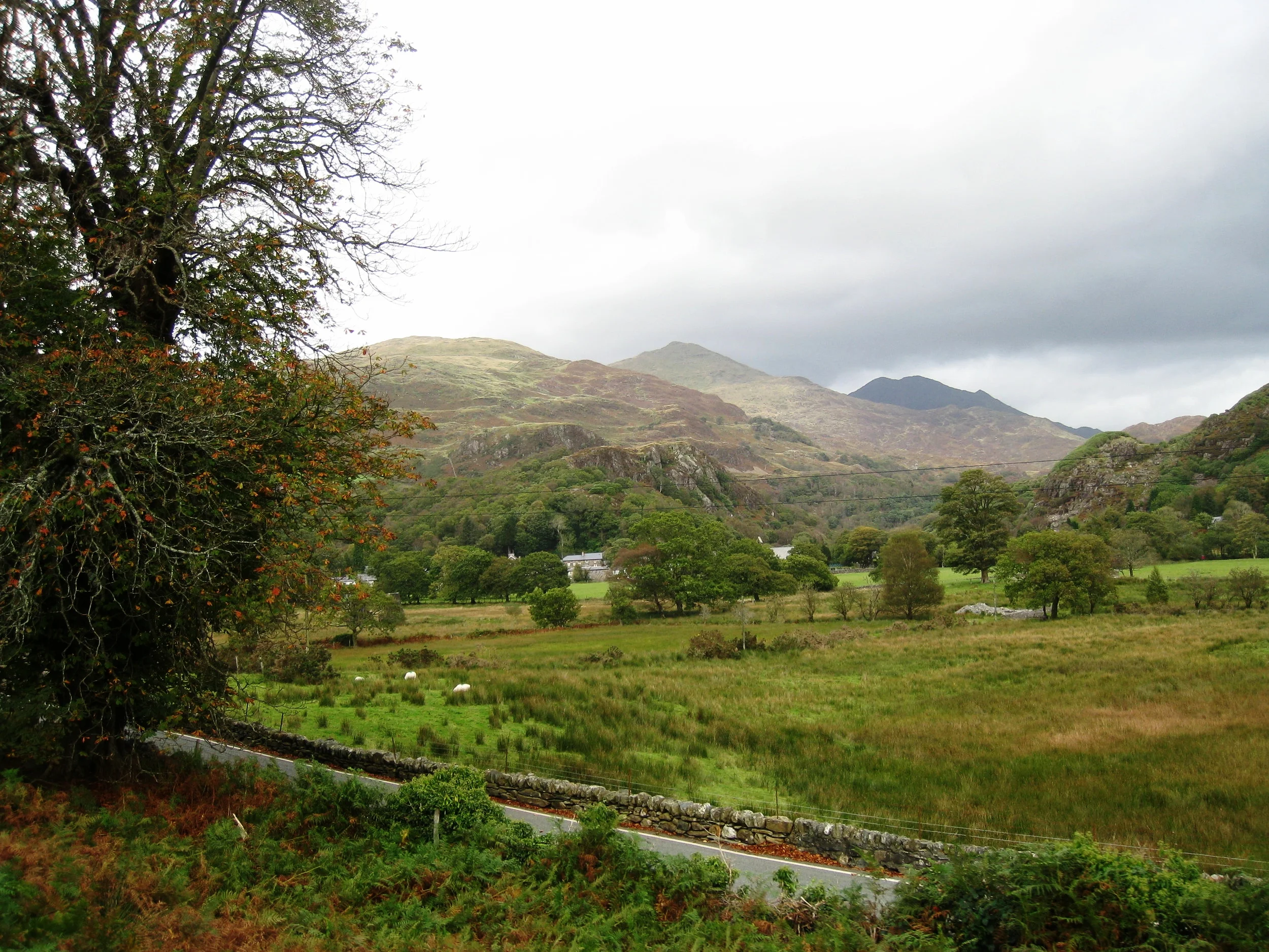  Wales--Wales--Welsh Highland Railroad near Beddgelert 