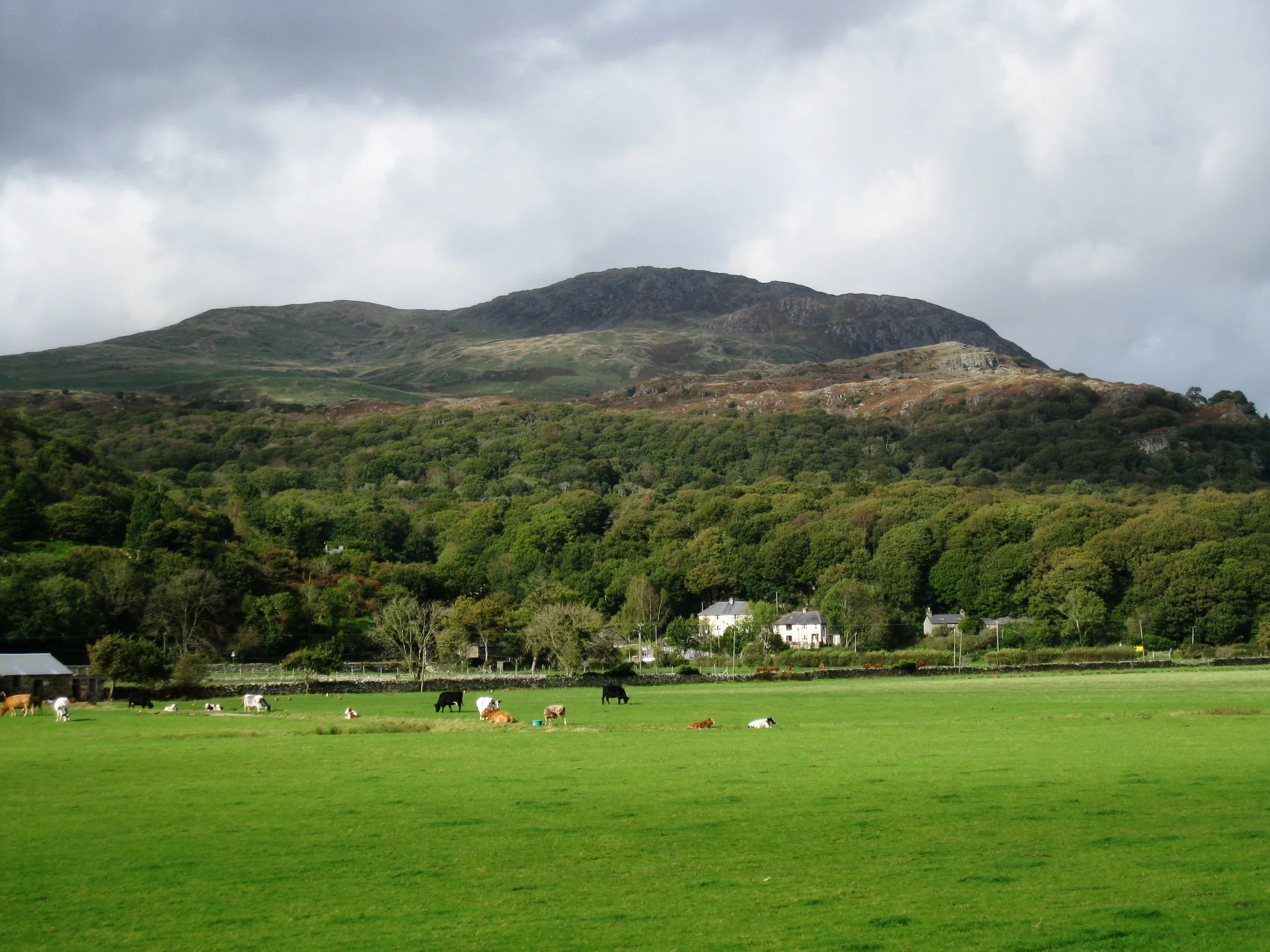  Wales--Porthmadog--On Welsh Highland Railroad near Pont Croesor 