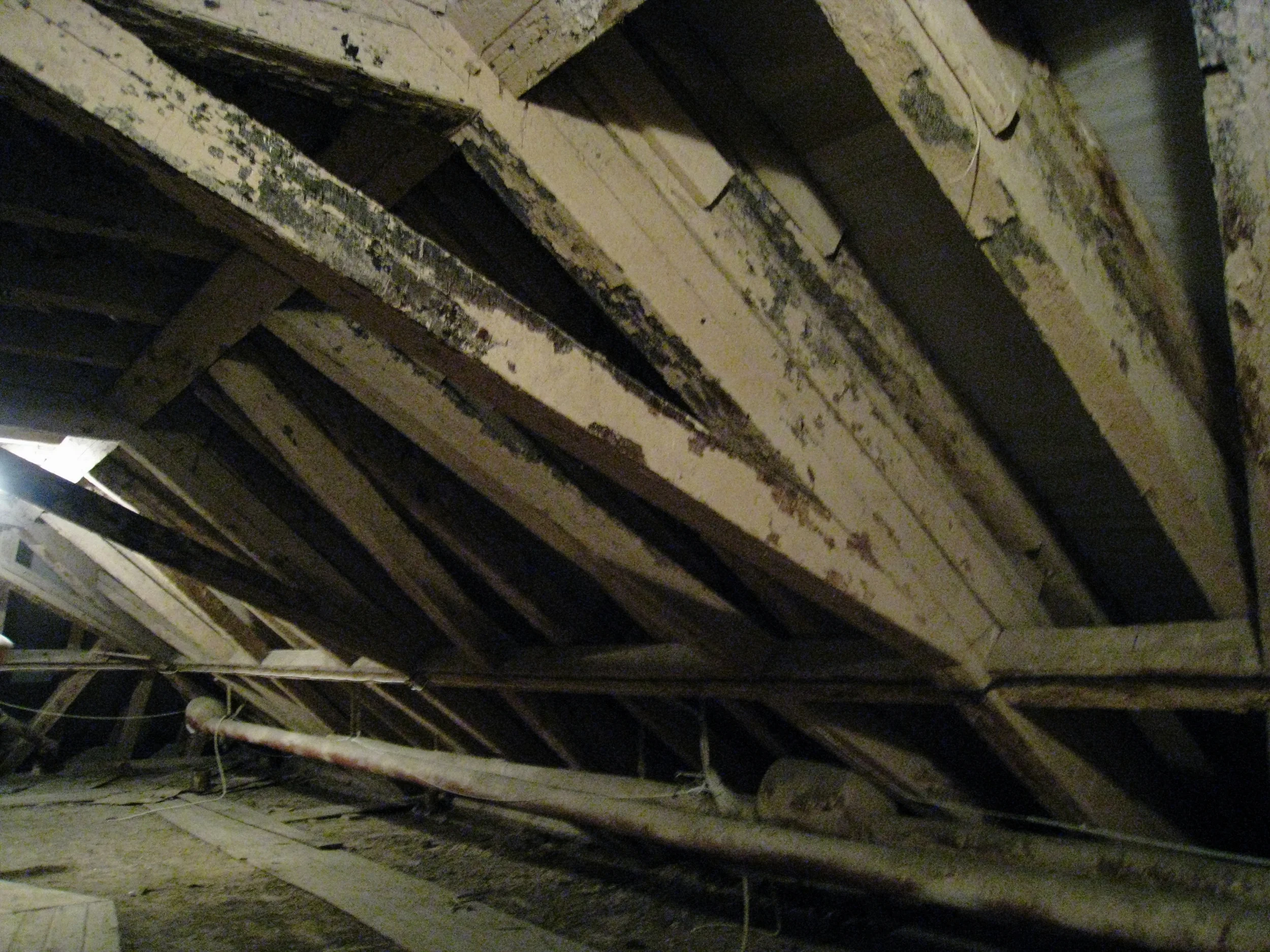  Tartu--Main University Administration Building--Interior--Roof beams 