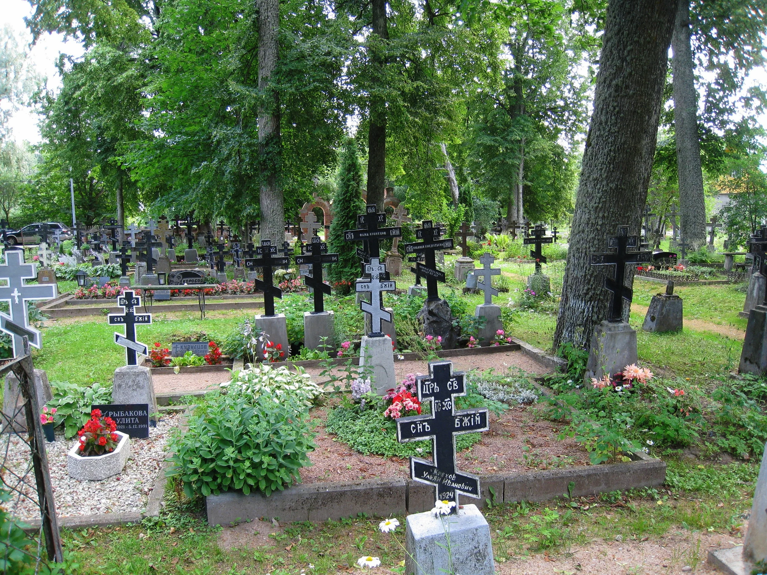  Tartu--On Lake Peipsi--Old Believers community cemetary (Varnja) 