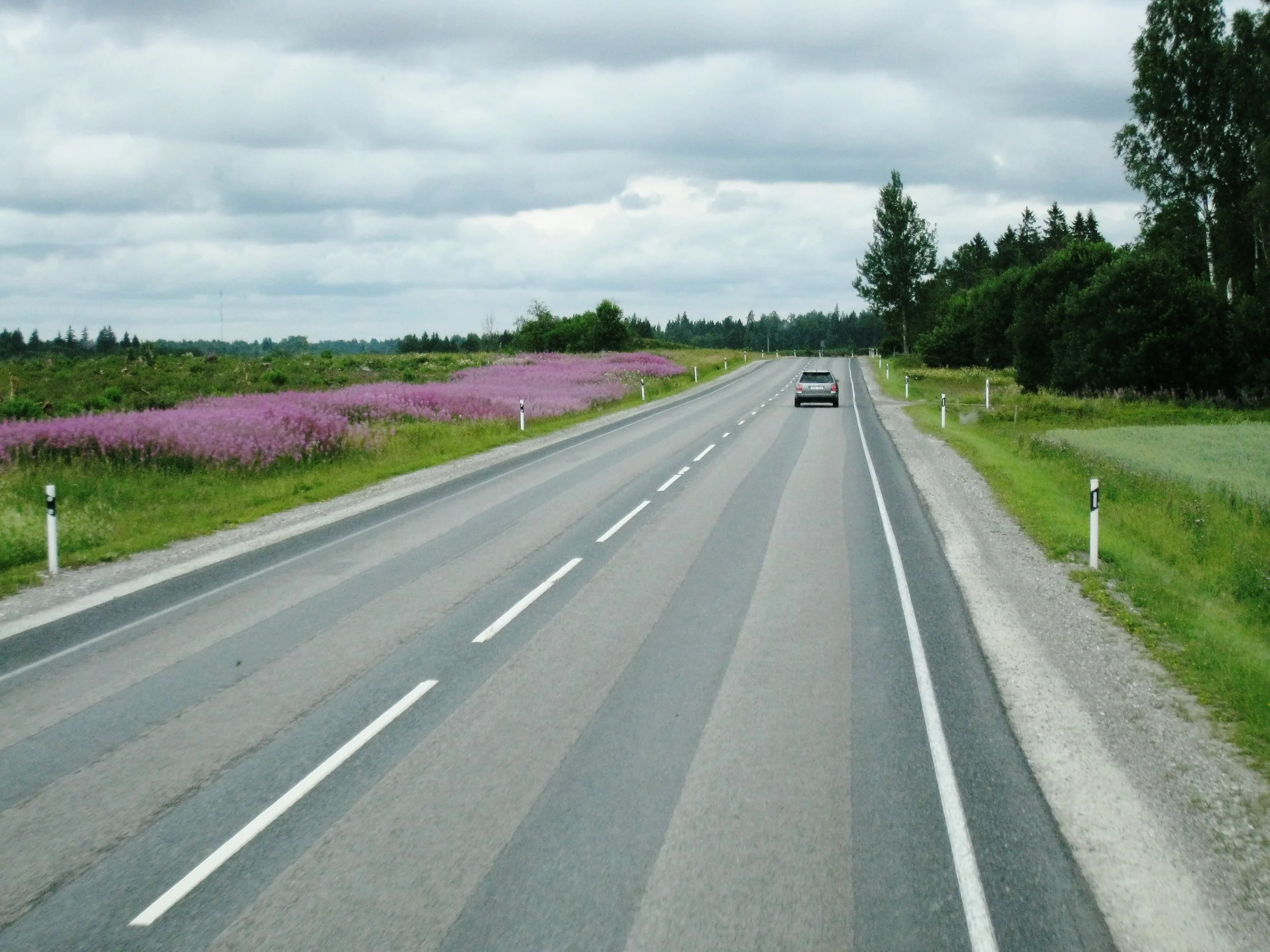  Tartu--On the road back to Tallinn 