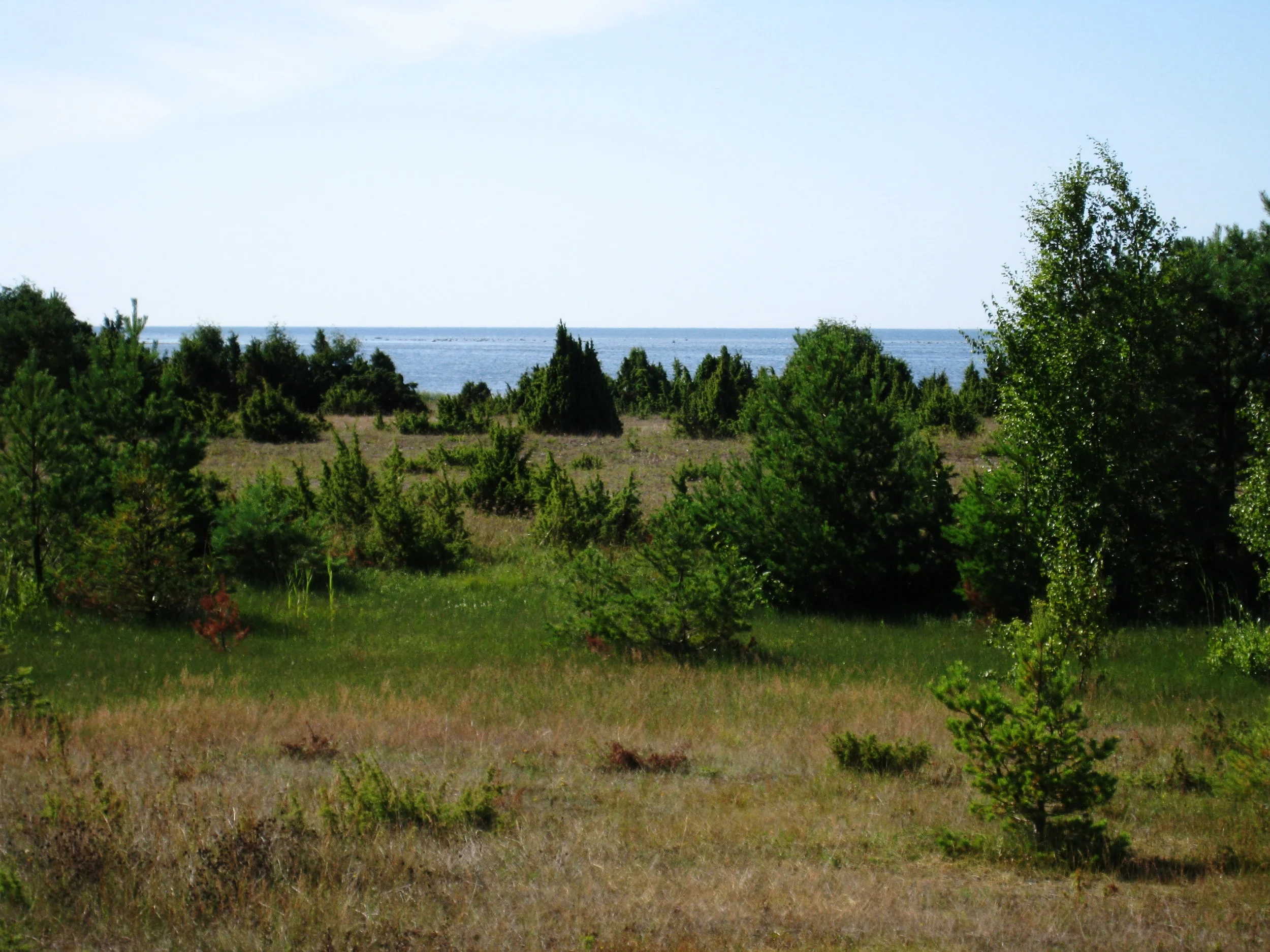  Saaremaa--Karala--View towards the Baltic 