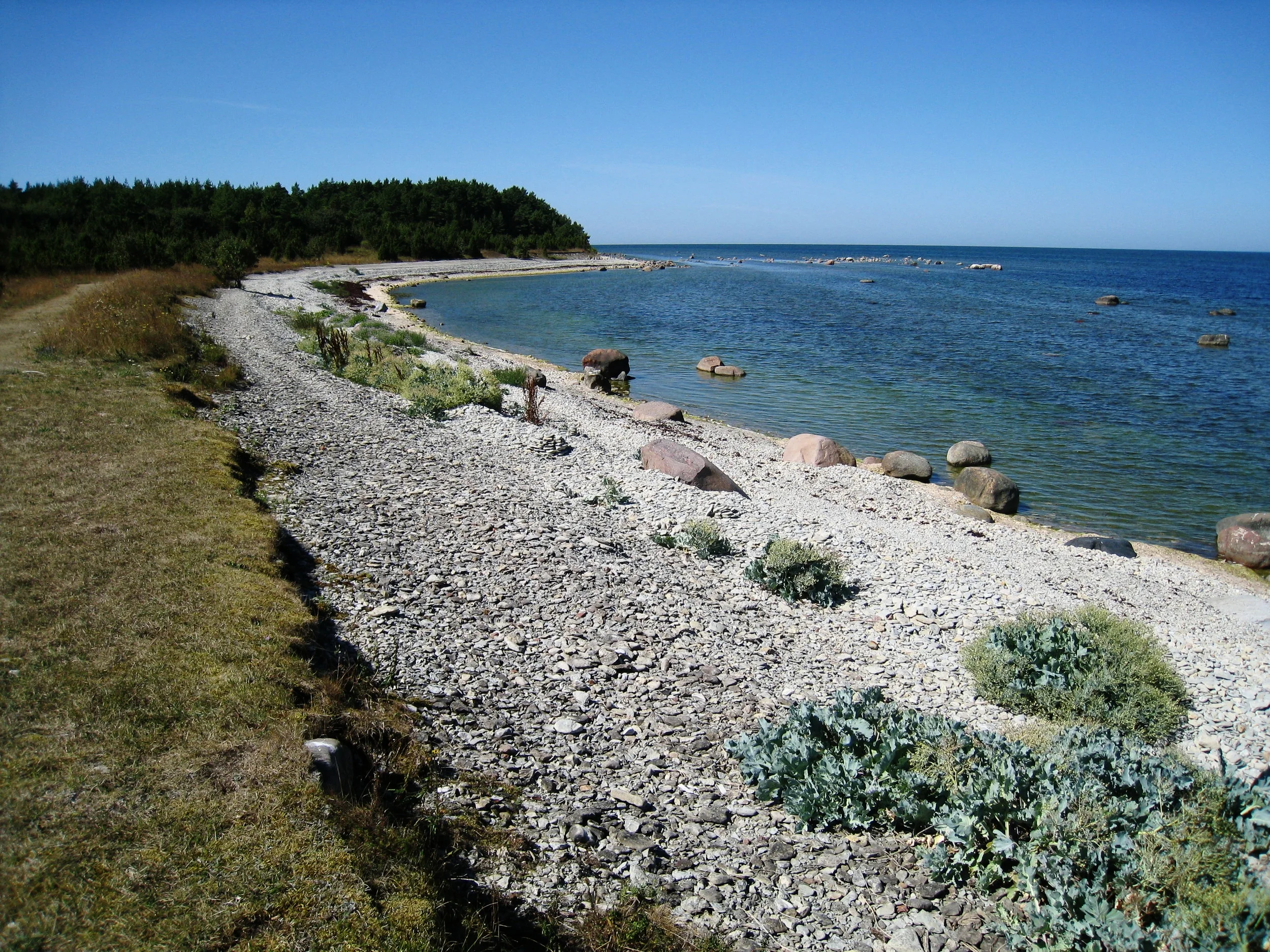  Saaremaa--Panga--Ninase Cliff--Beach 