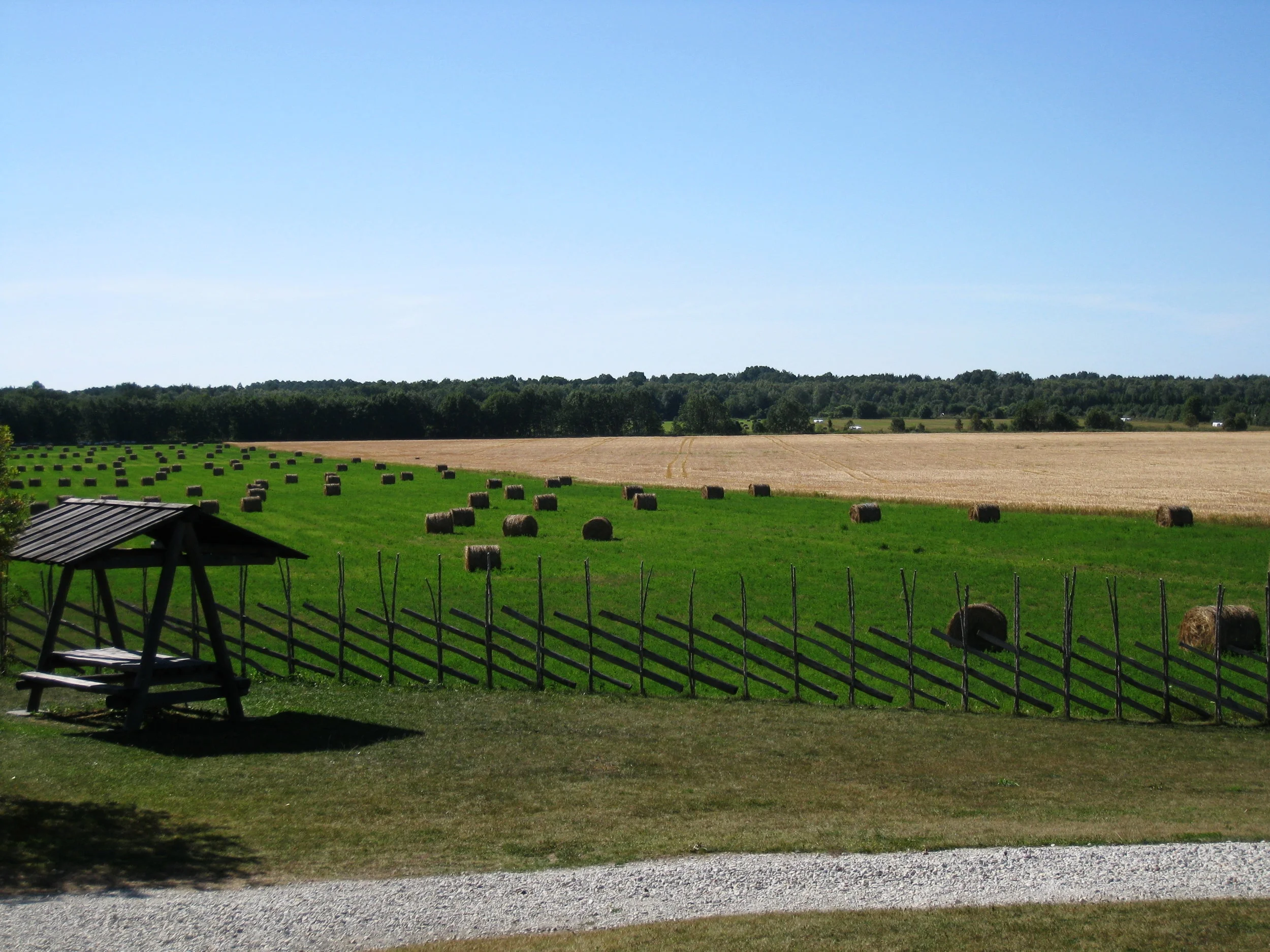  Saaremaa--Angla--Farms and fences 