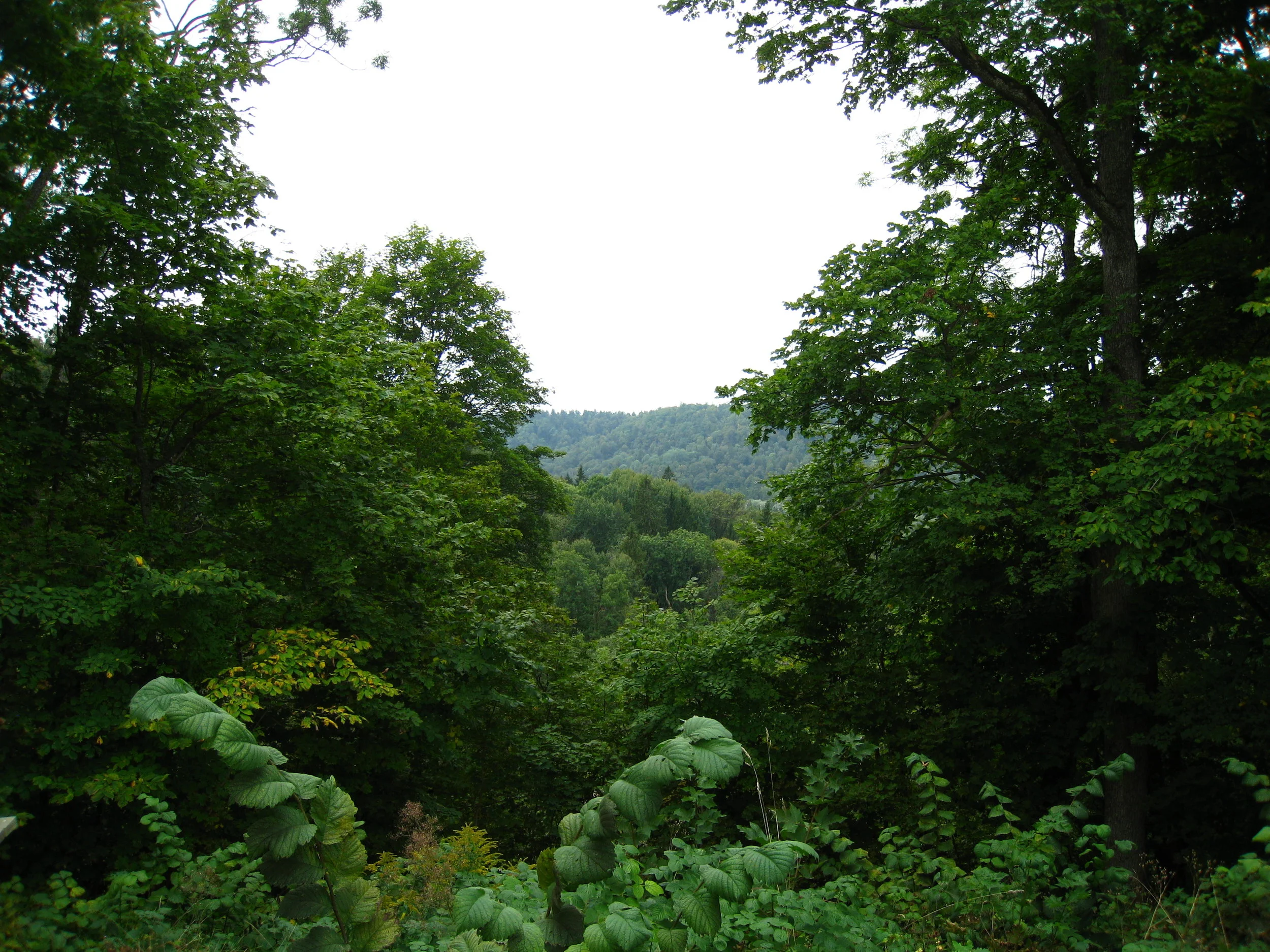  Sigulda (Vidzeme)--Gauja National Park from Sigulda Castle 