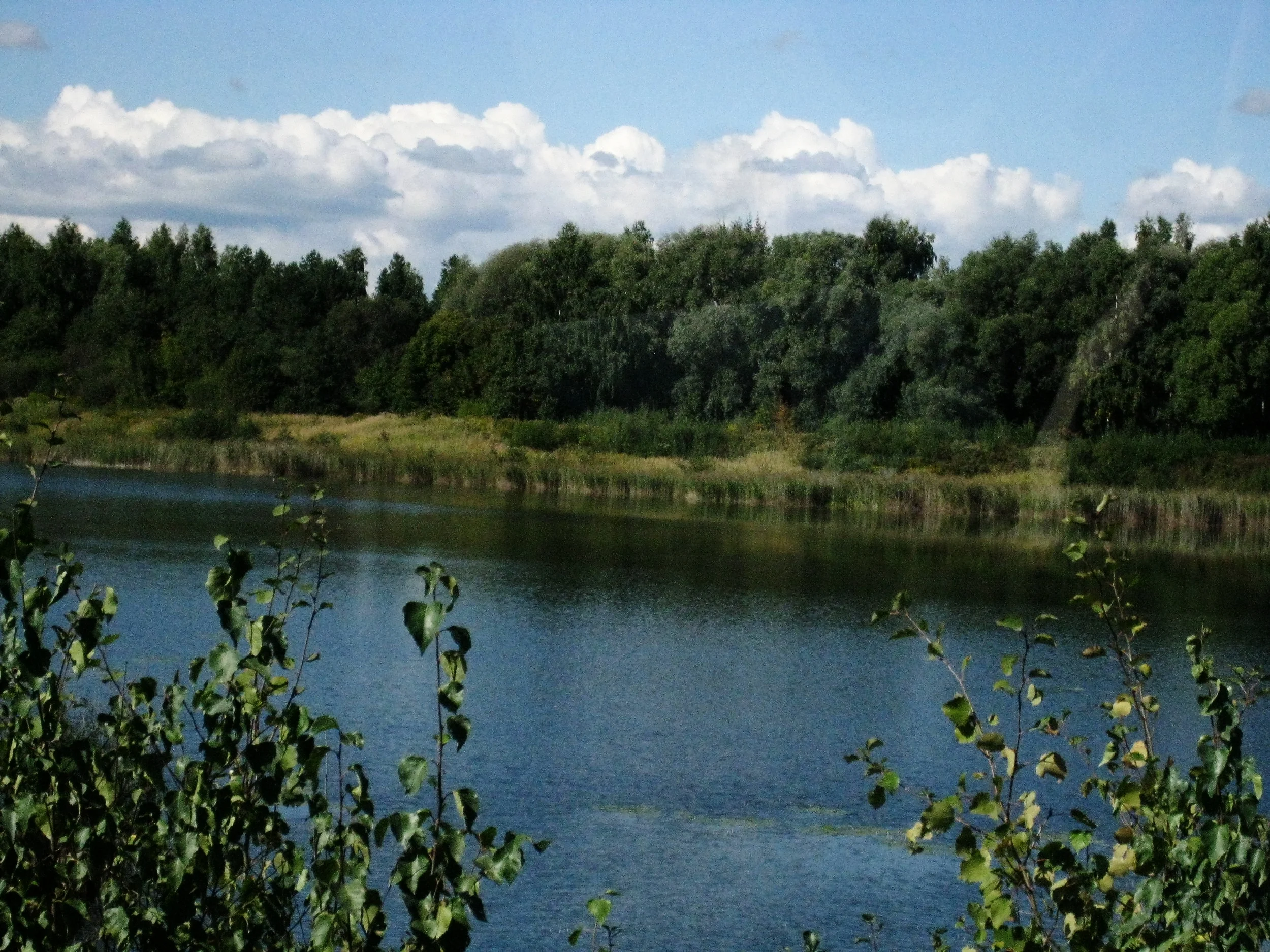  Latvia--Countryside 